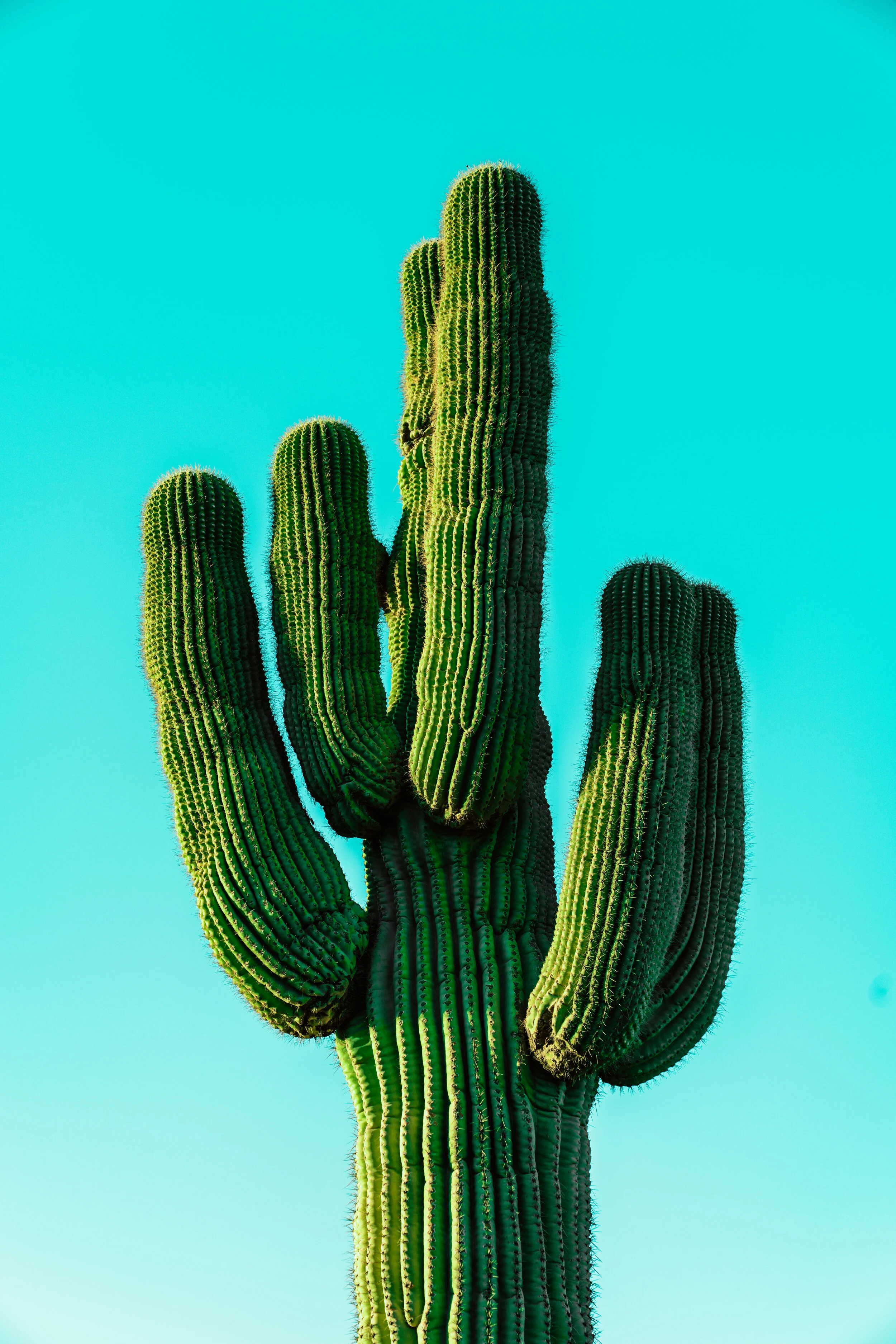 Hannah Knochelmann gets a travel award to present her work in Scottsdale, AZ