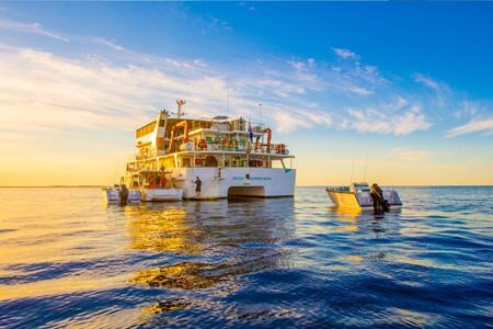 abrolhos-charters.jpg