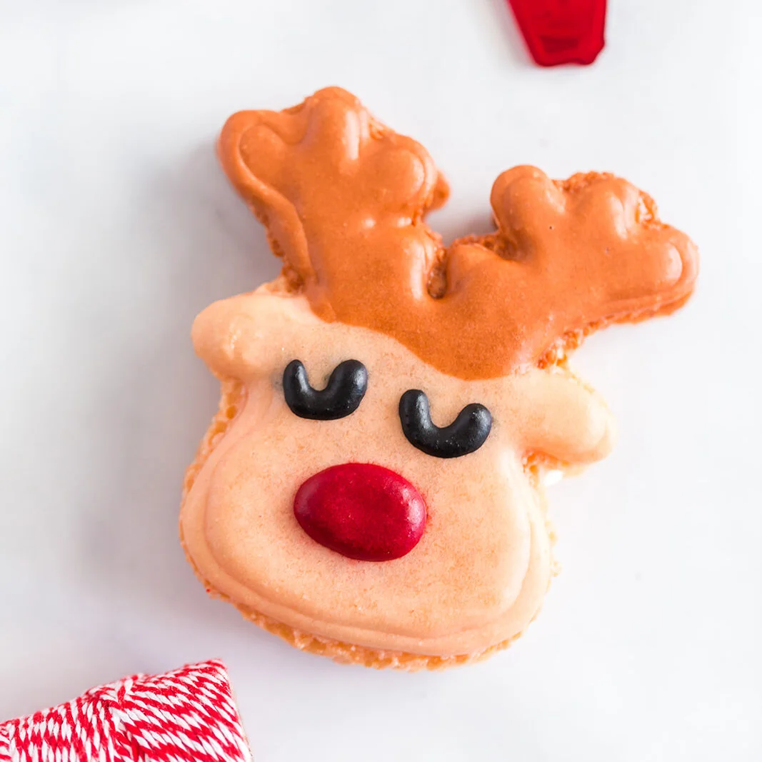 Christmas 2019-13_websize.jpg
