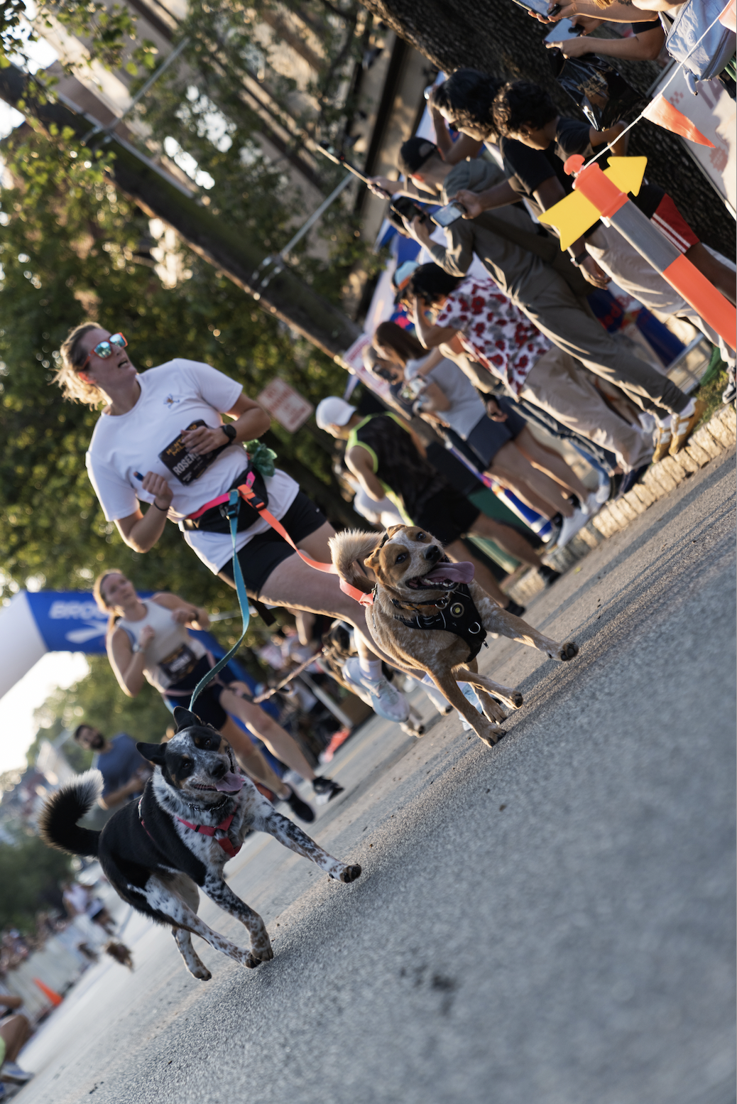 Screen Shot 2026-04-10 at 3.06.05 PM.png