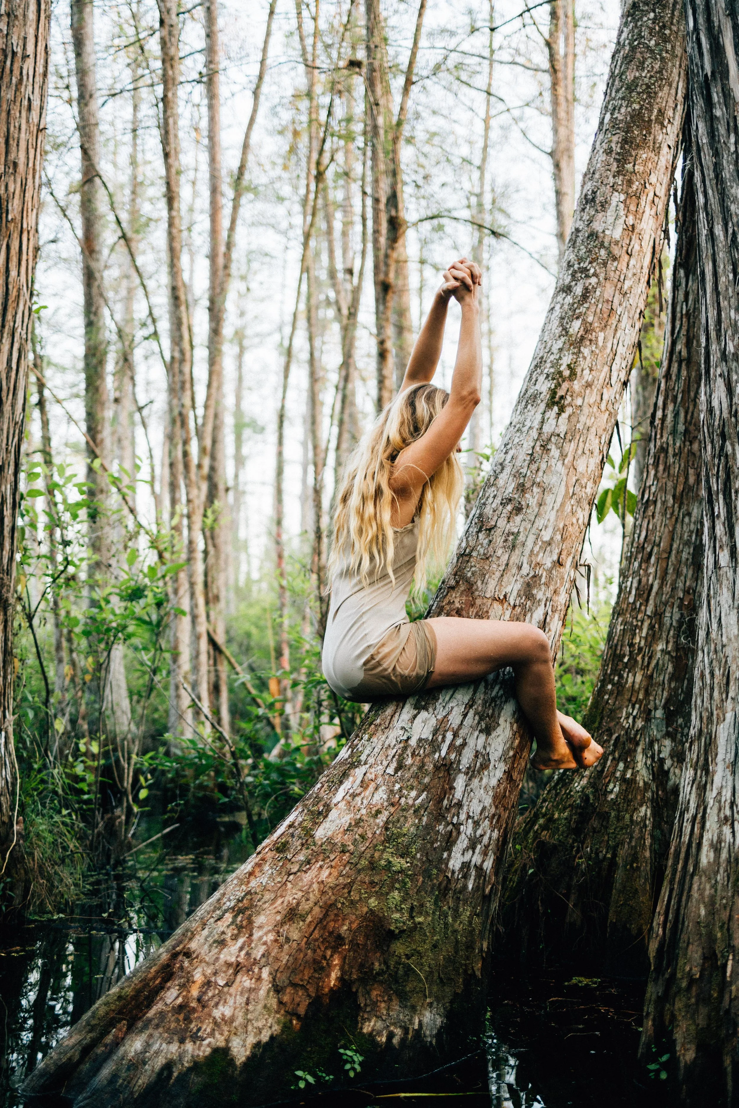Chelsea Morgan Cypress Dome (95 of 176).jpg