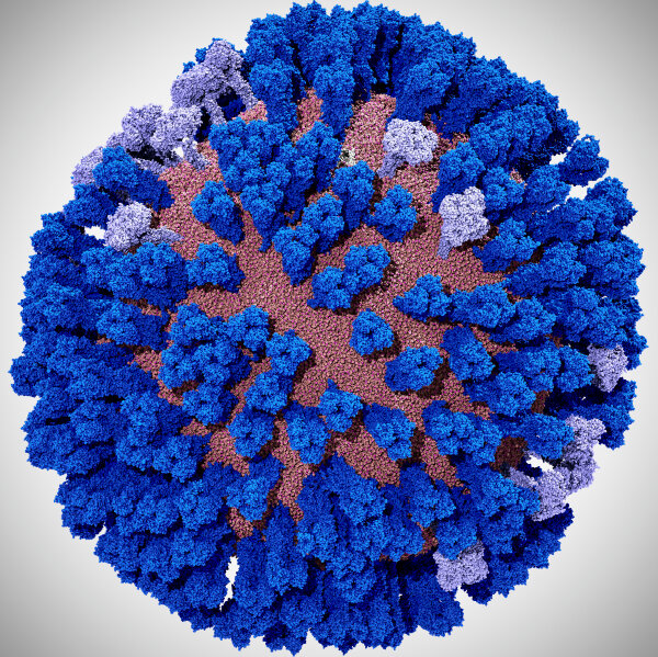Researchers Tackle the Flu with Breakthrough Virus Simulations