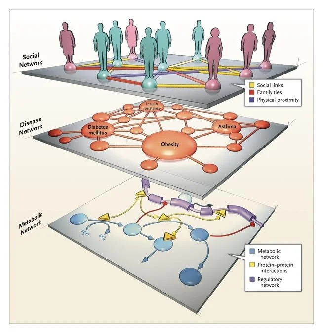Network Medicine — From Obesity to the “Diseasome”