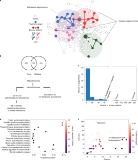 Network medicine framework shows that proximity of polyphenol targets and disease proteins predicts therapeutic effects of polyphenols