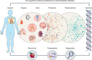The regulatory network architecture of cardiometabolic diseases
