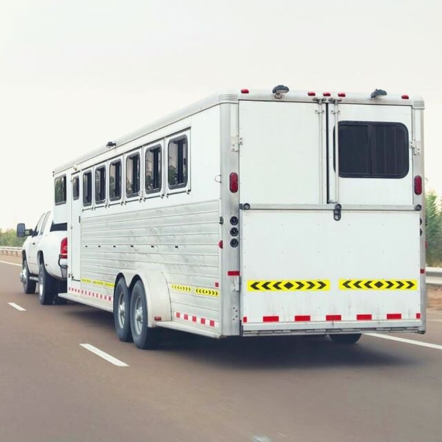 Horse shows are starting back up. Do you have your horse's travel documents in order? #AltaEquine #Coggins #HealthCertificate #equestrianlife