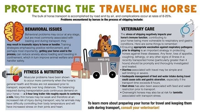 The AAEP has put together this useful infographic with tips for transporting your horse. &bull; Food and water should be provided prior to transport, during regular rest breaks and upon arrival at destination. &bull; The animal should be rested befor