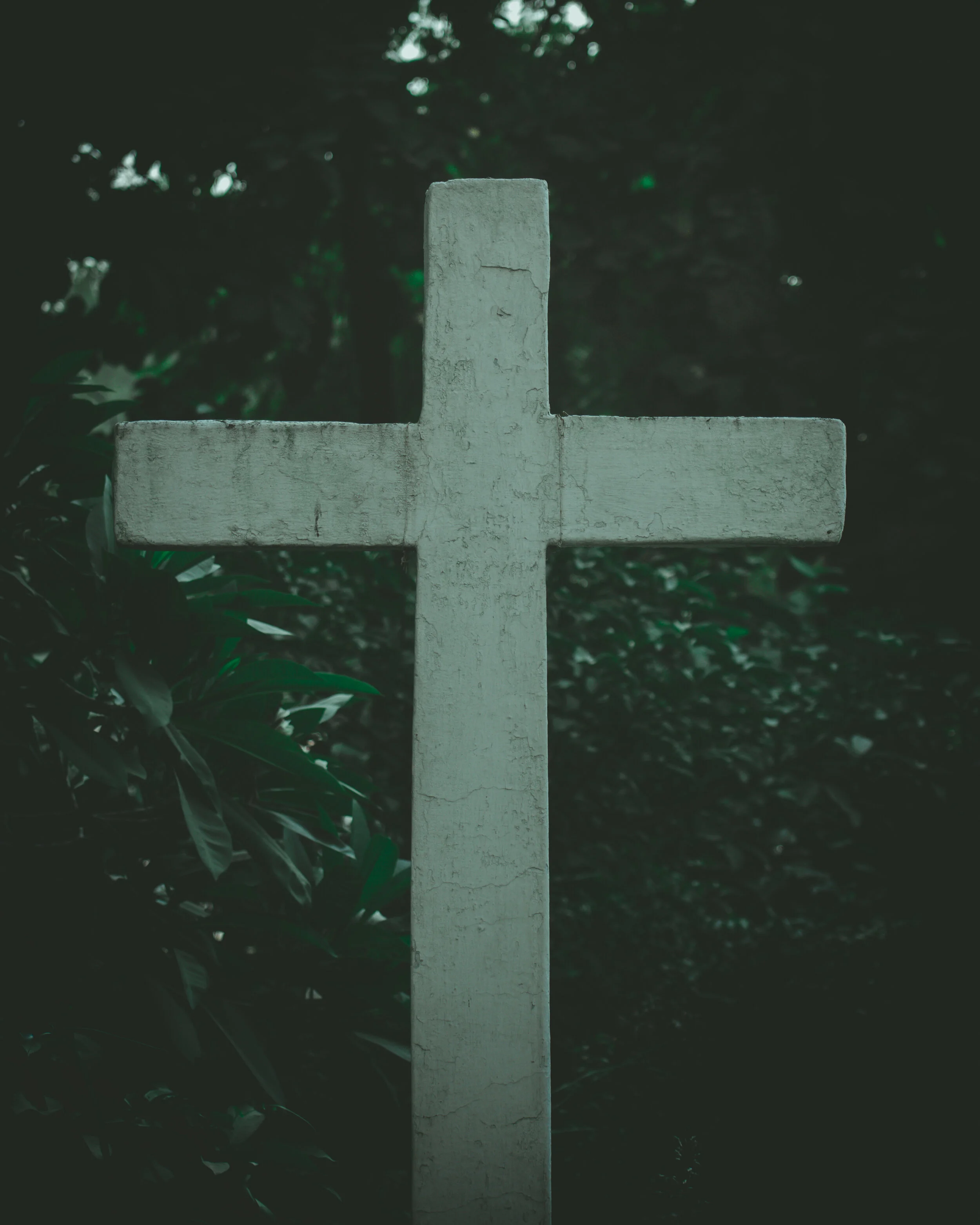 Trusting God in Difficult Times