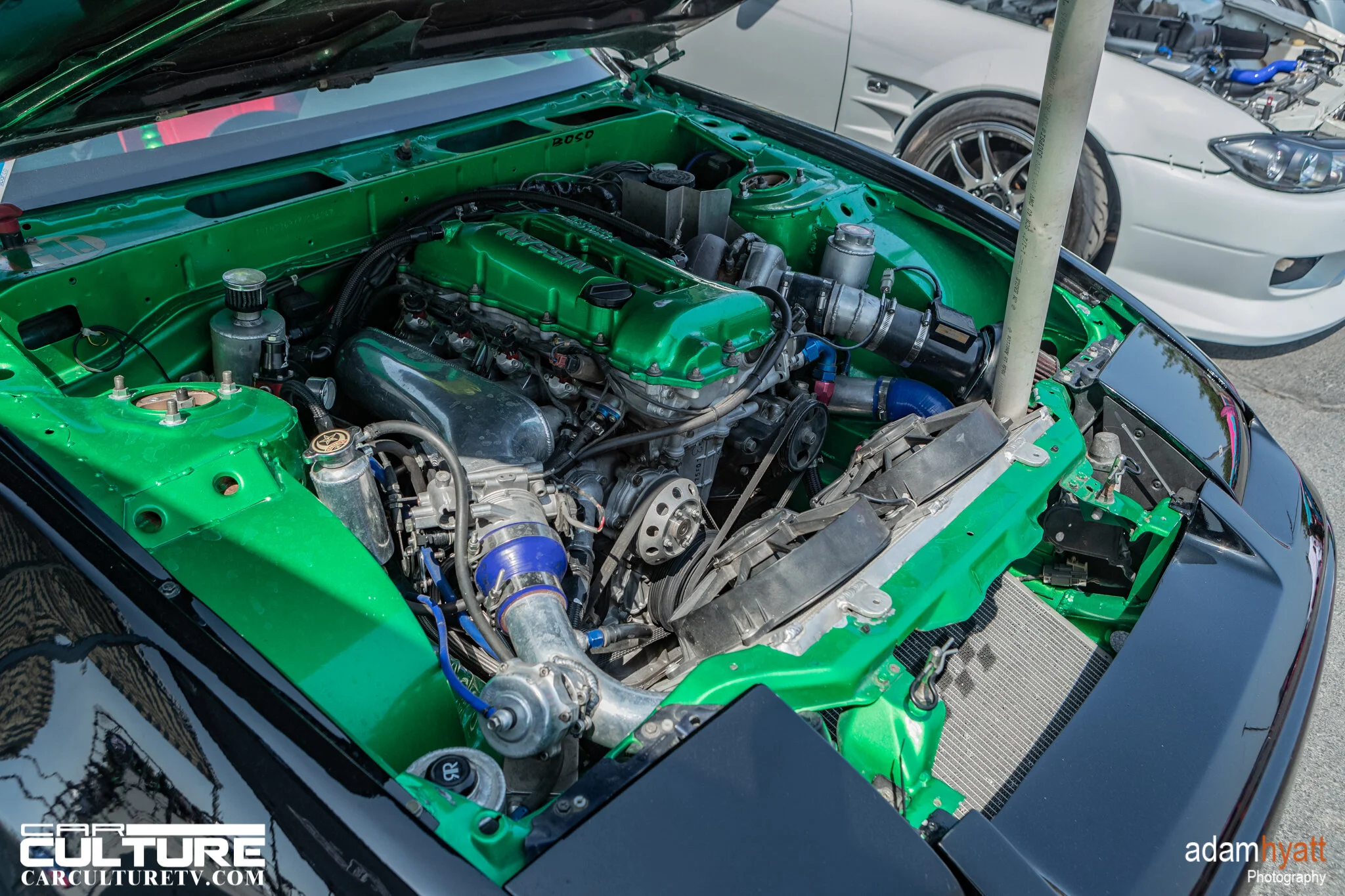 _HP_7398.jpg