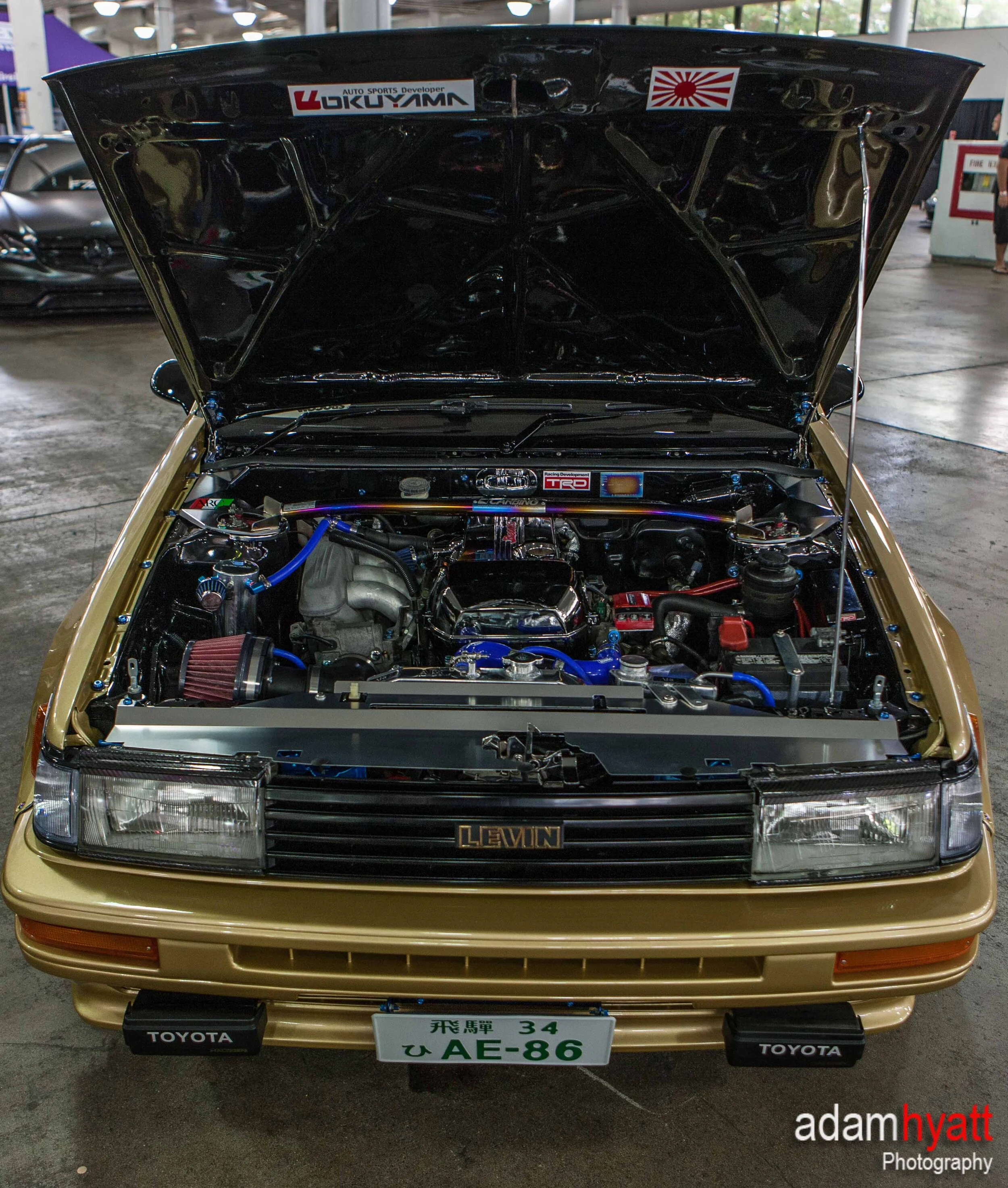 _02T1496.jpg