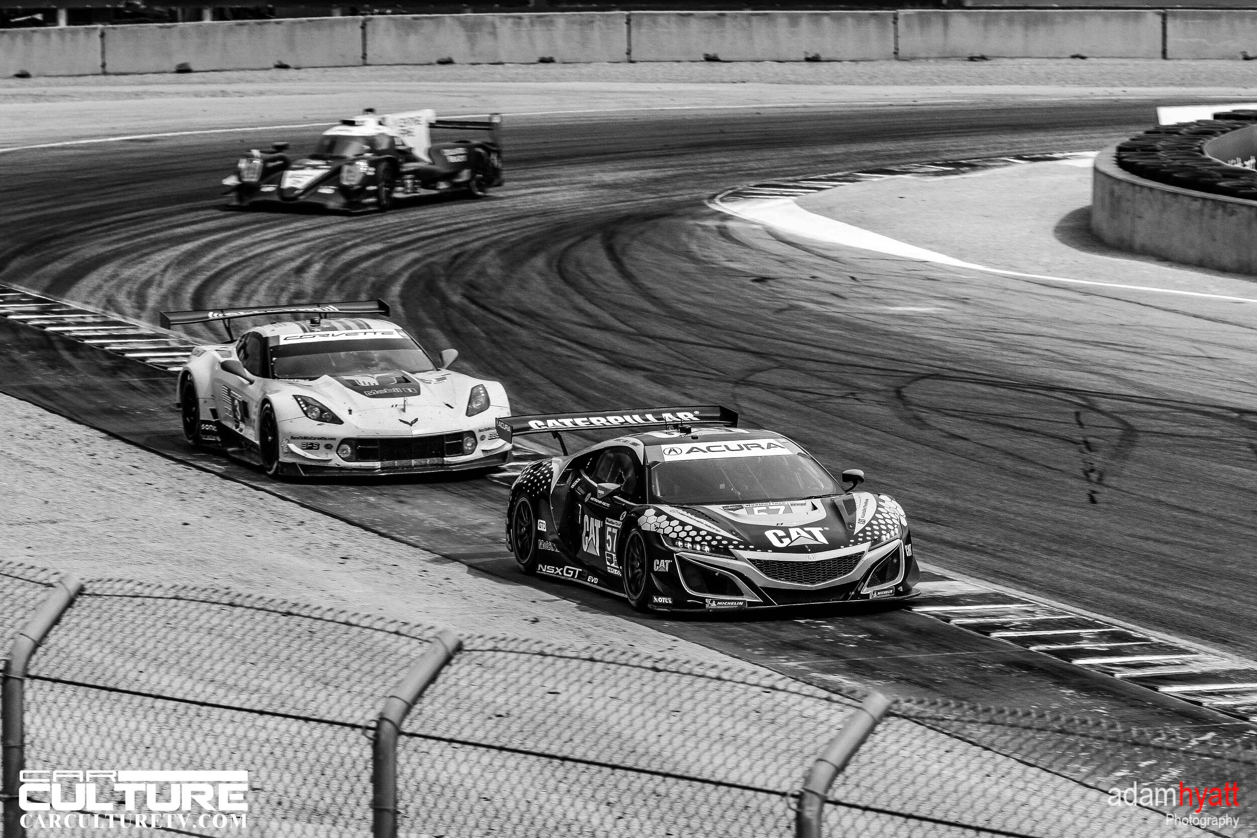 _02T7358 - AdamHyattPhotography-.jpg