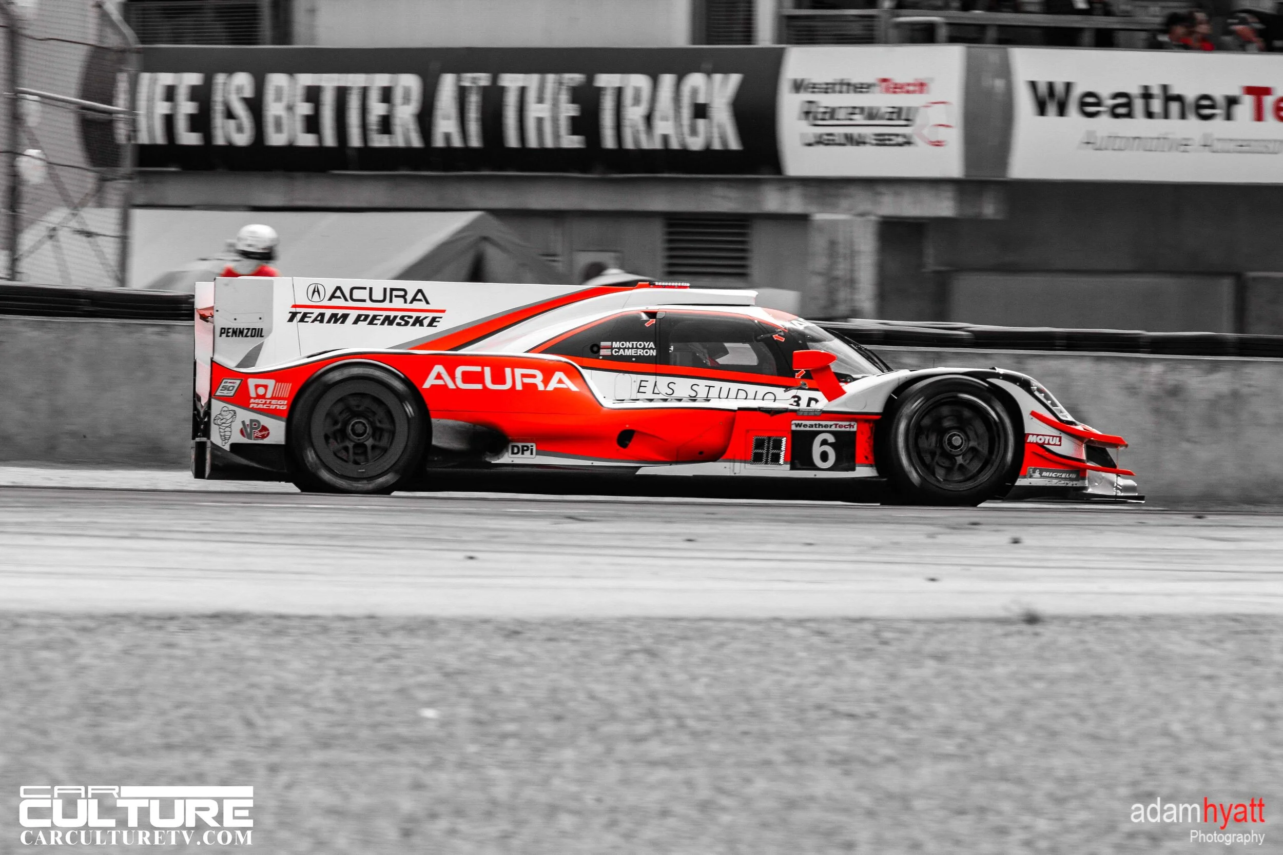 _02T7532 - AdamHyattPhotography-.jpg