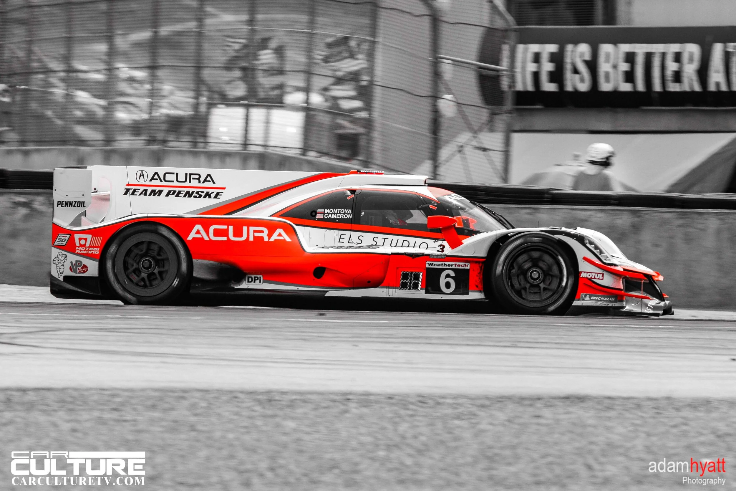 _02T7531 - AdamHyattPhotography-.jpg