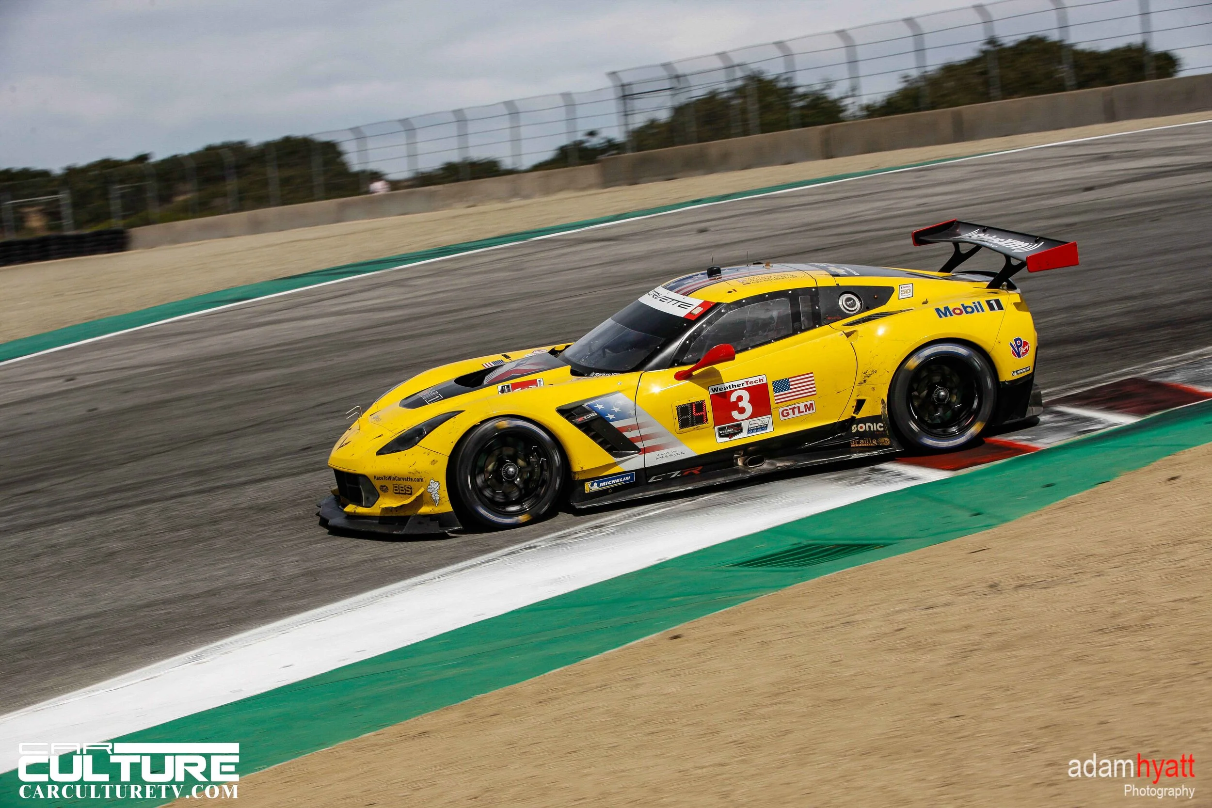 _02T8072 - AdamHyattPhotography-.jpg