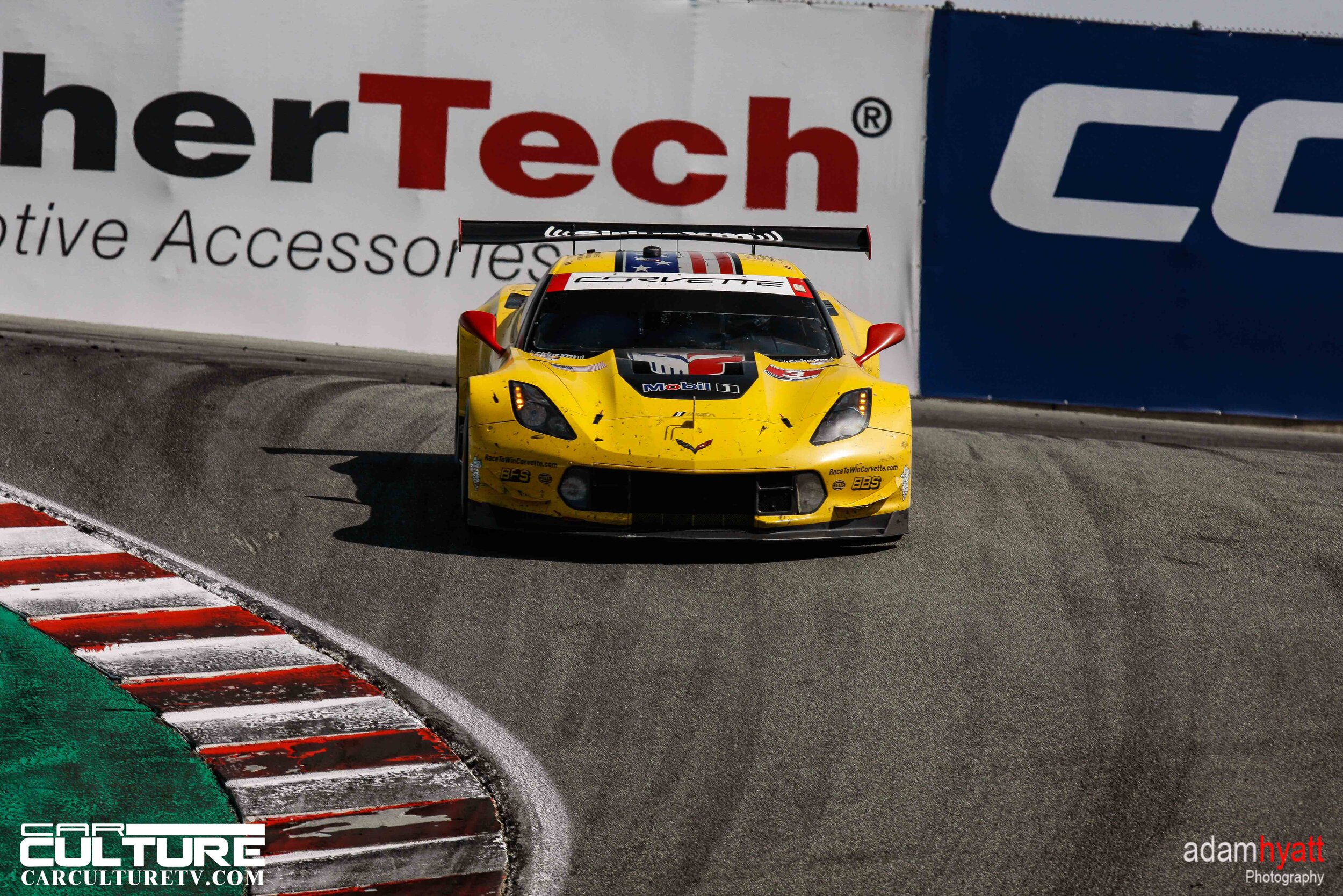 _02T8547 - AdamHyattPhotography-.jpg