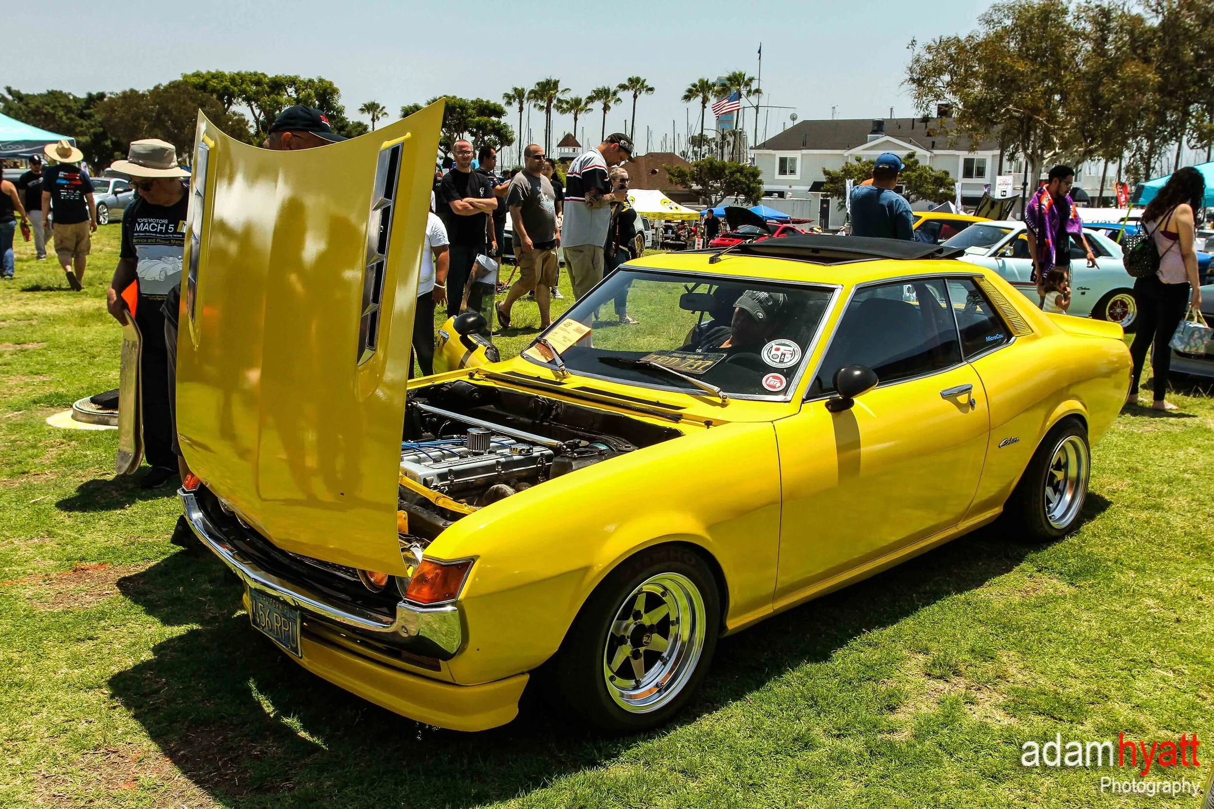 aaaa - AdamHyattPhotography-.jpg