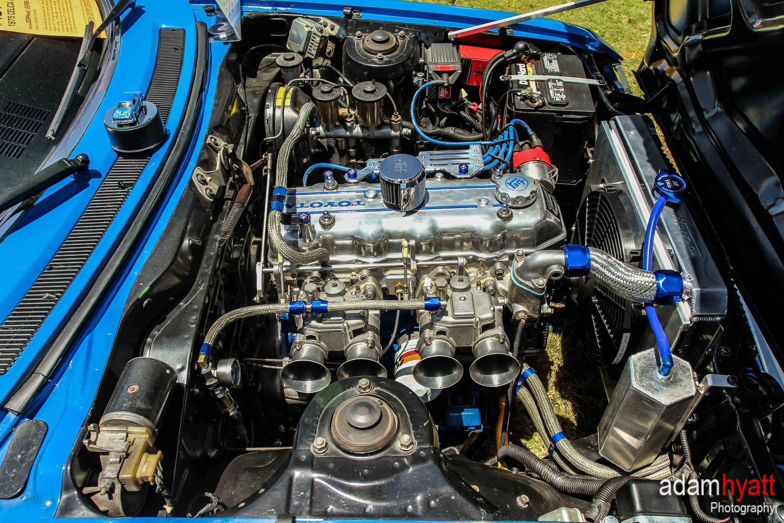 IMG_6875 - AdamHyattPhotography-.jpg