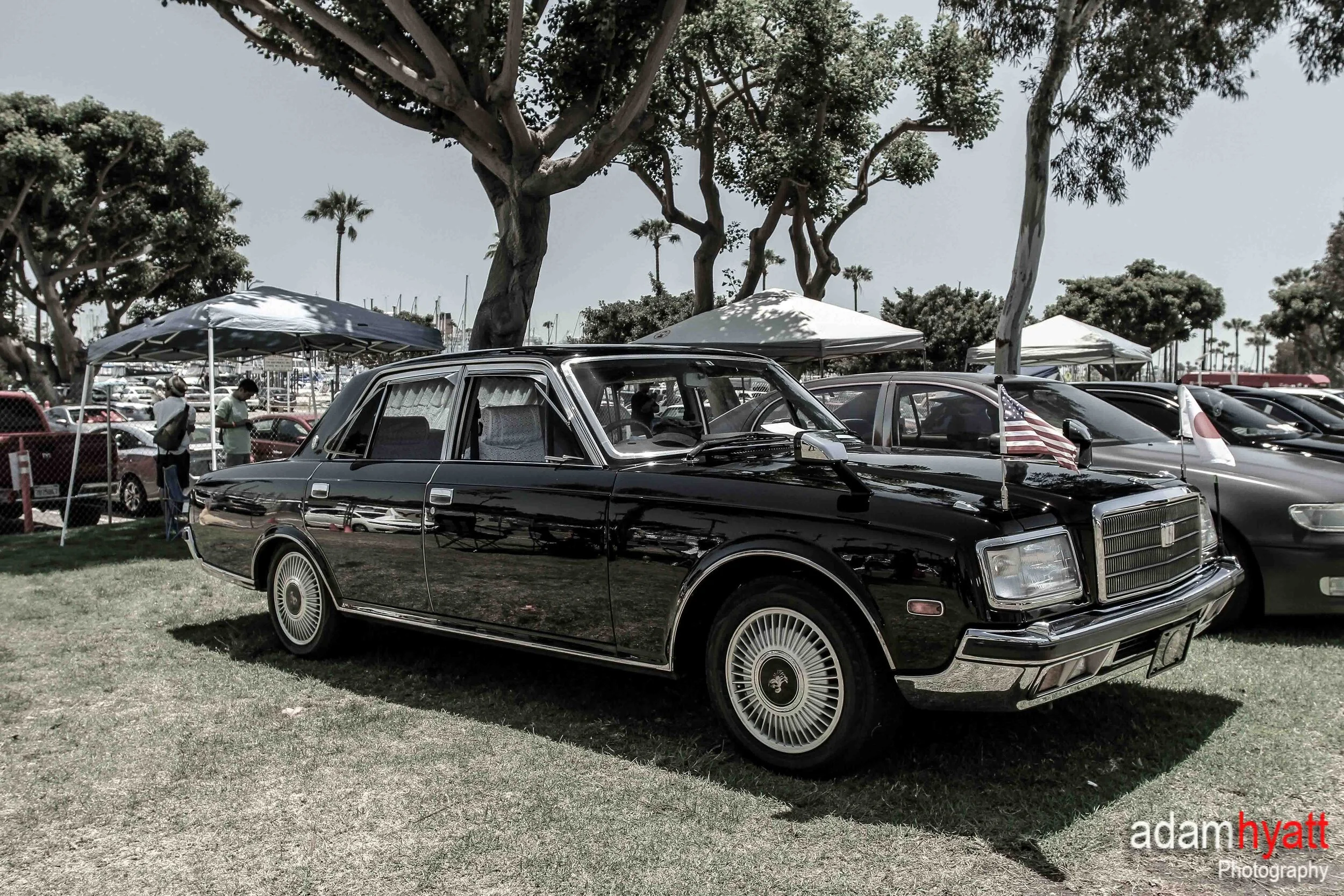 IMG_6911 - AdamHyattPhotography-.jpg