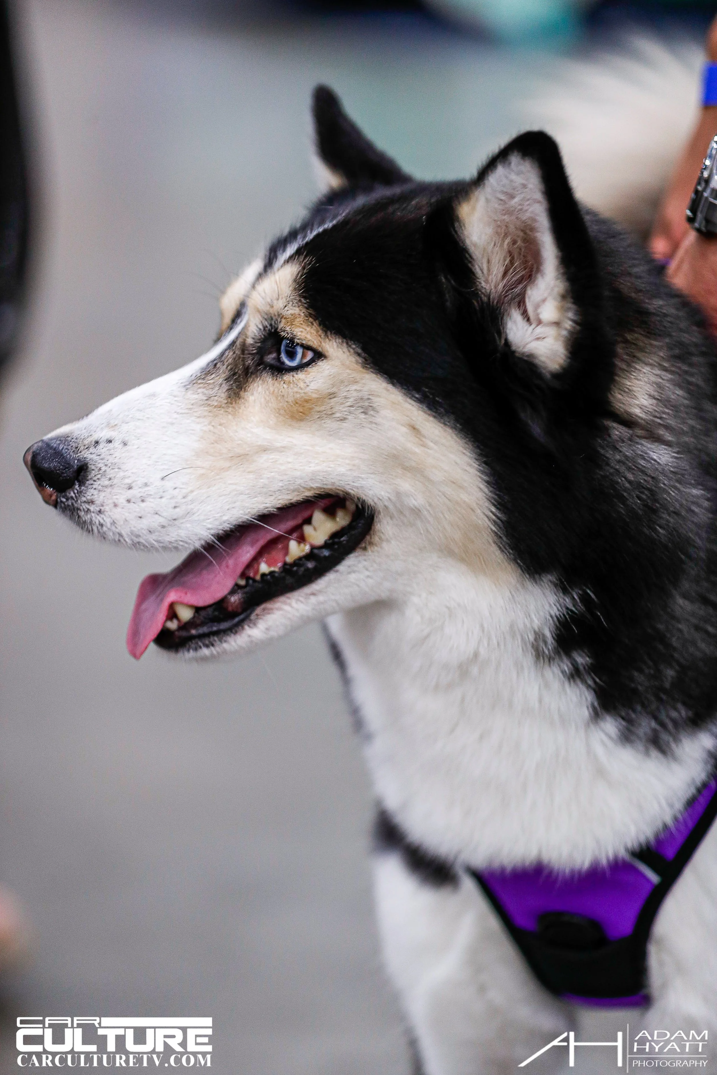 Adam Hyatt Photography_Wekfest_LA_2022-_HP_0328.jpg