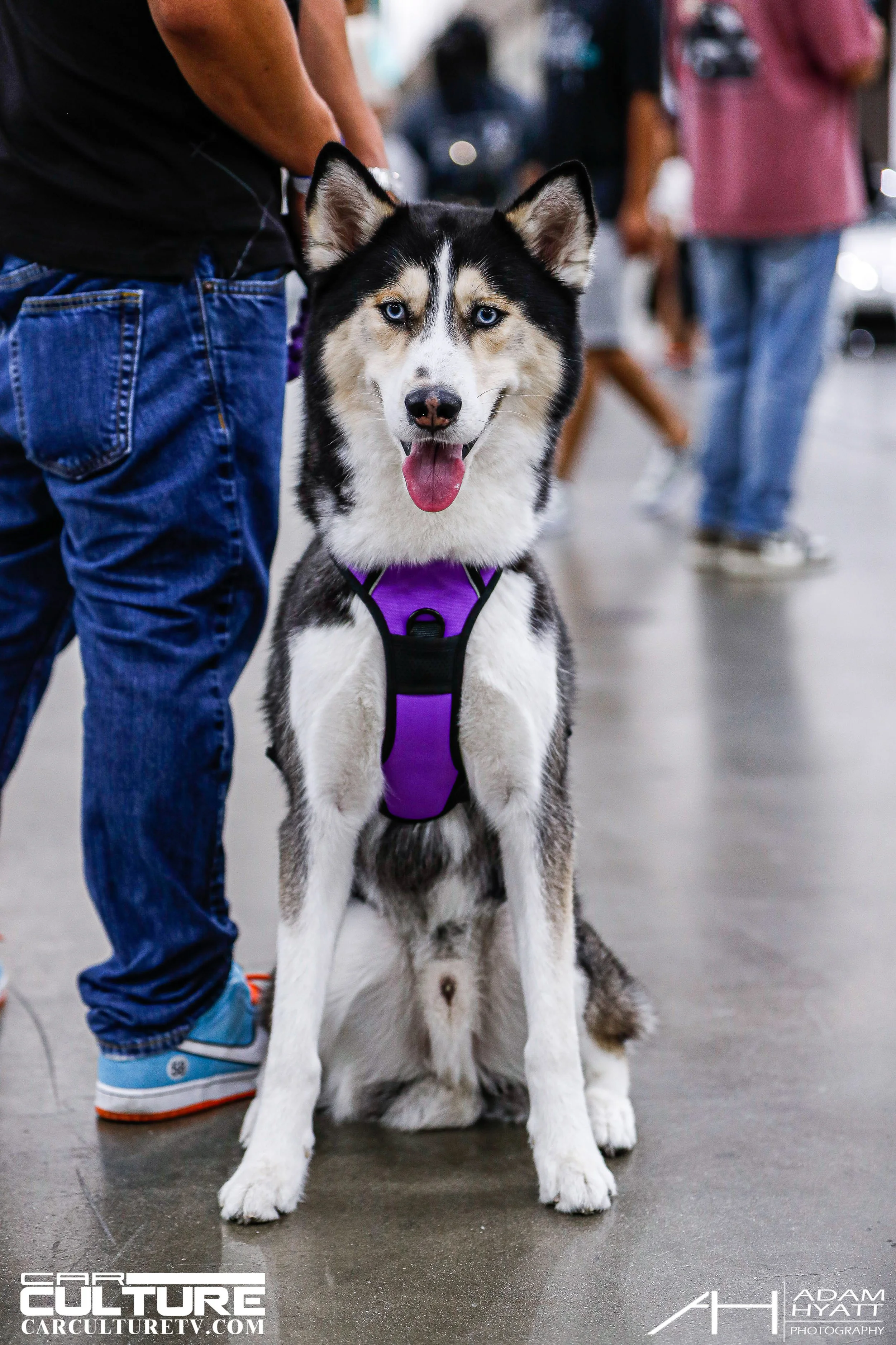 Adam Hyatt Photography_Wekfest_LA_2022-_HP_0349.jpg