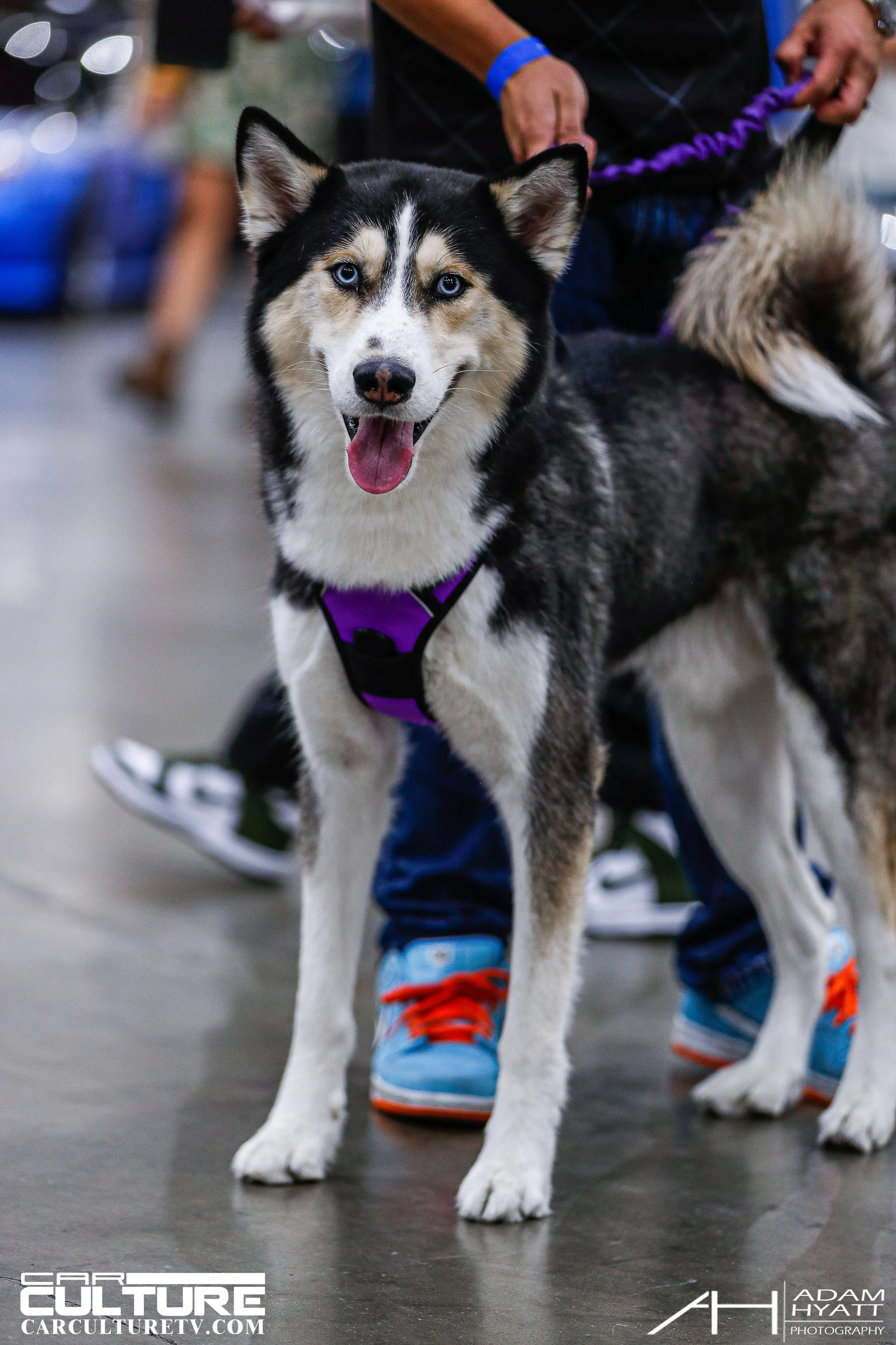Adam Hyatt Photography_Wekfest_LA_2022-_HP_0297.jpg