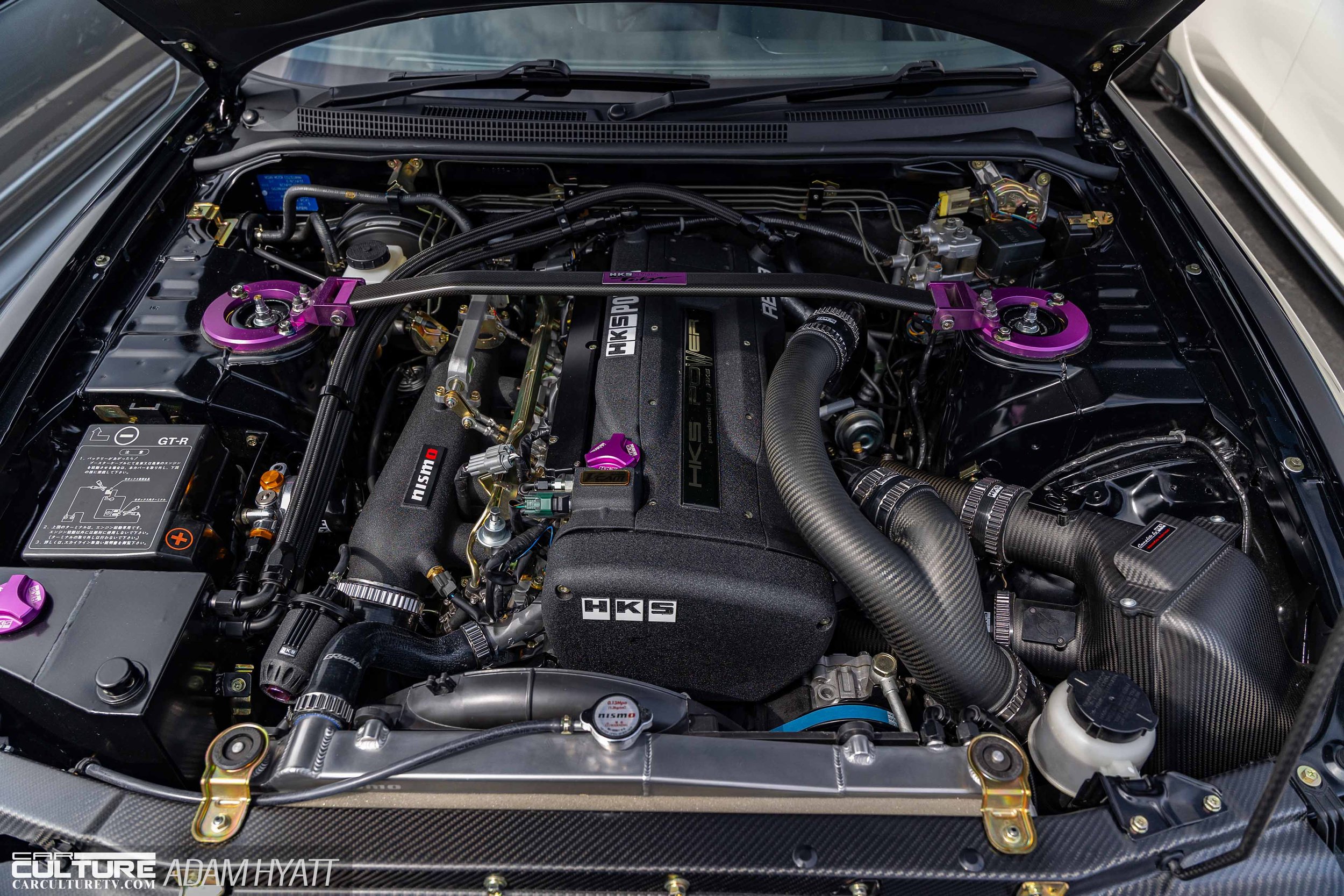 Rays Tribute 2024_Adam_Hyatt_Photography-2376.jpg