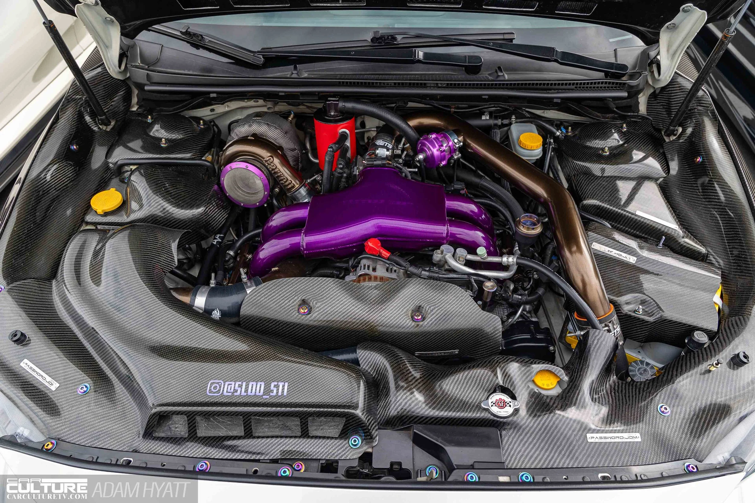 Rays Tribute 2024_Adam_Hyatt_Photography-2293.jpg