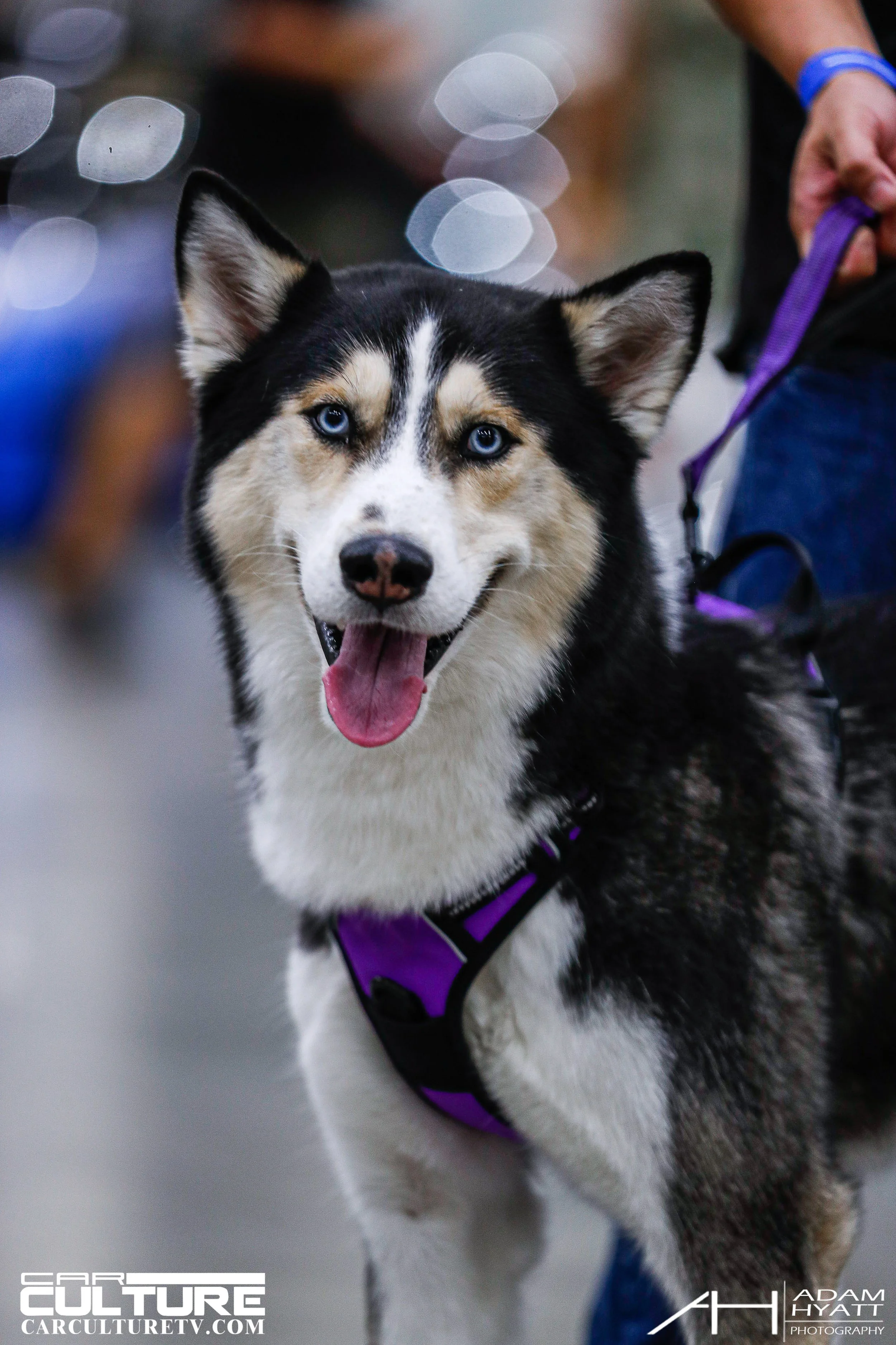 Adam Hyatt Photography_Wekfest_LA_2022-_HP_0293.jpg