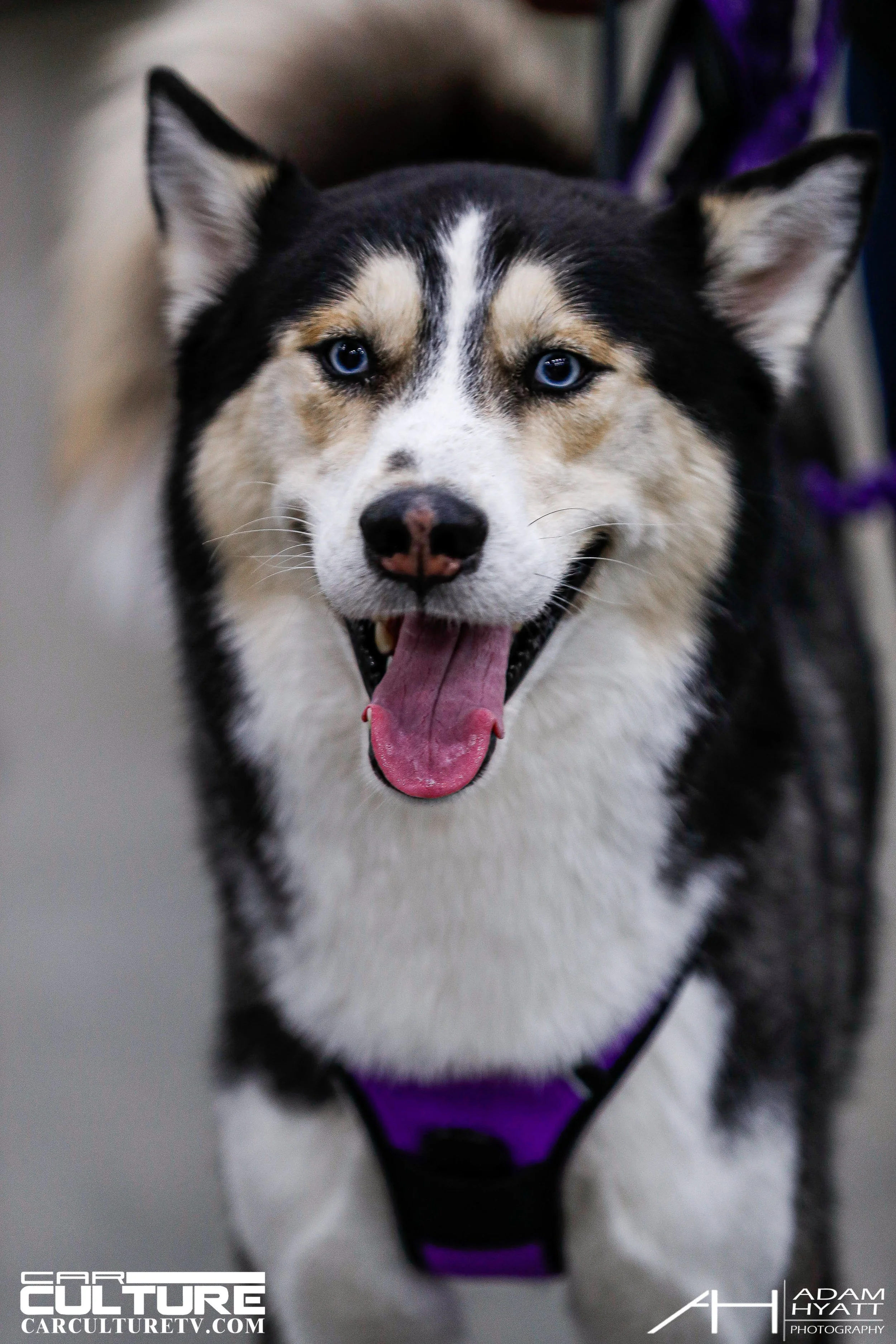 Adam Hyatt Photography_Wekfest_LA_2022-_HP_0319.jpg