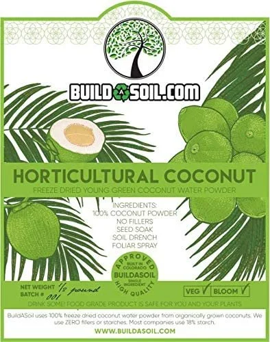 coconut.jpg