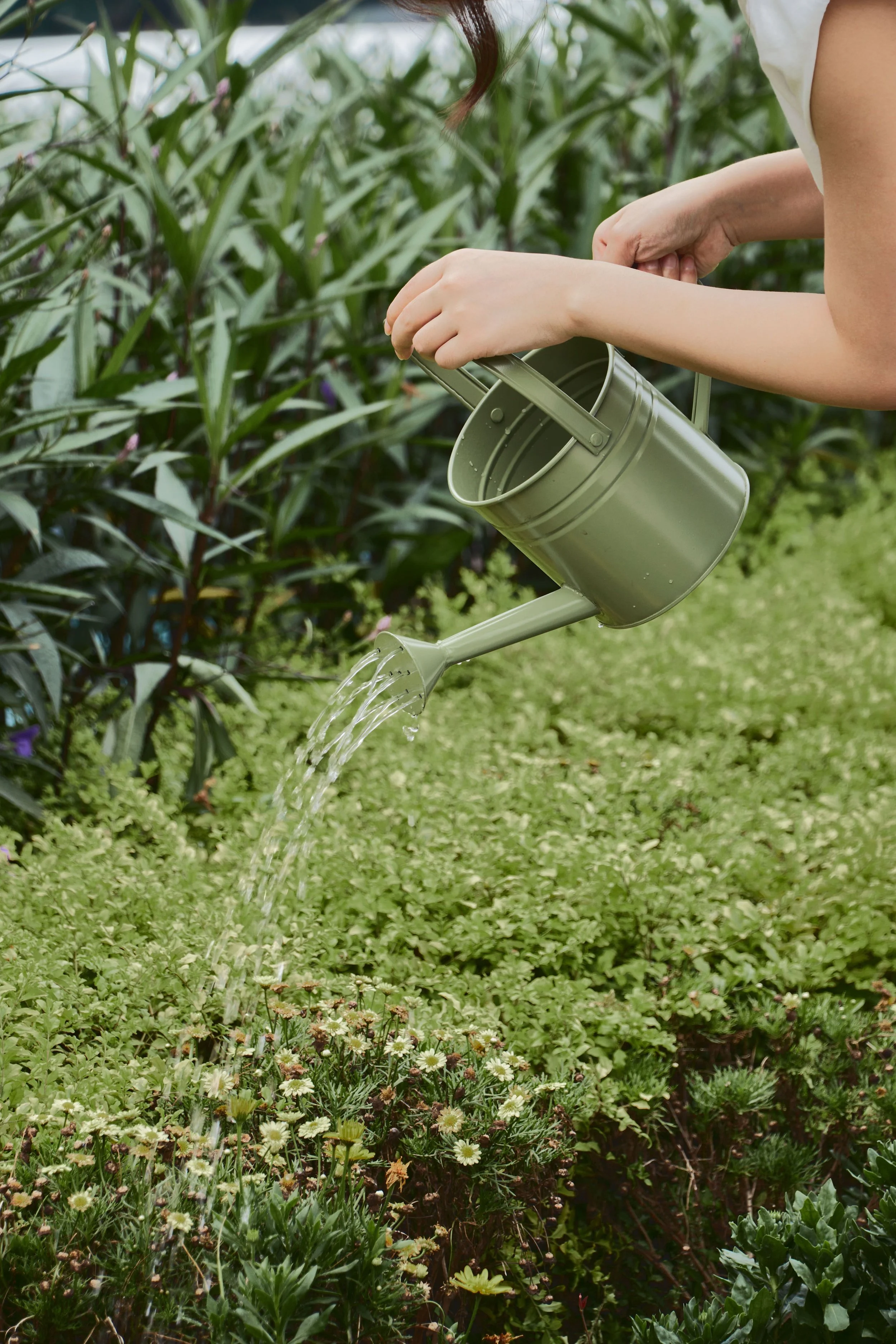 simcoe area greywater treatment services