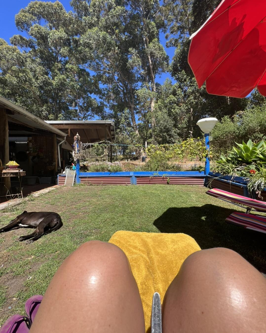 That break between two years, two worlds now slowly begins to merge into the next adventure. We are still in rest relax and recharge mode. Happy new year to you all.
