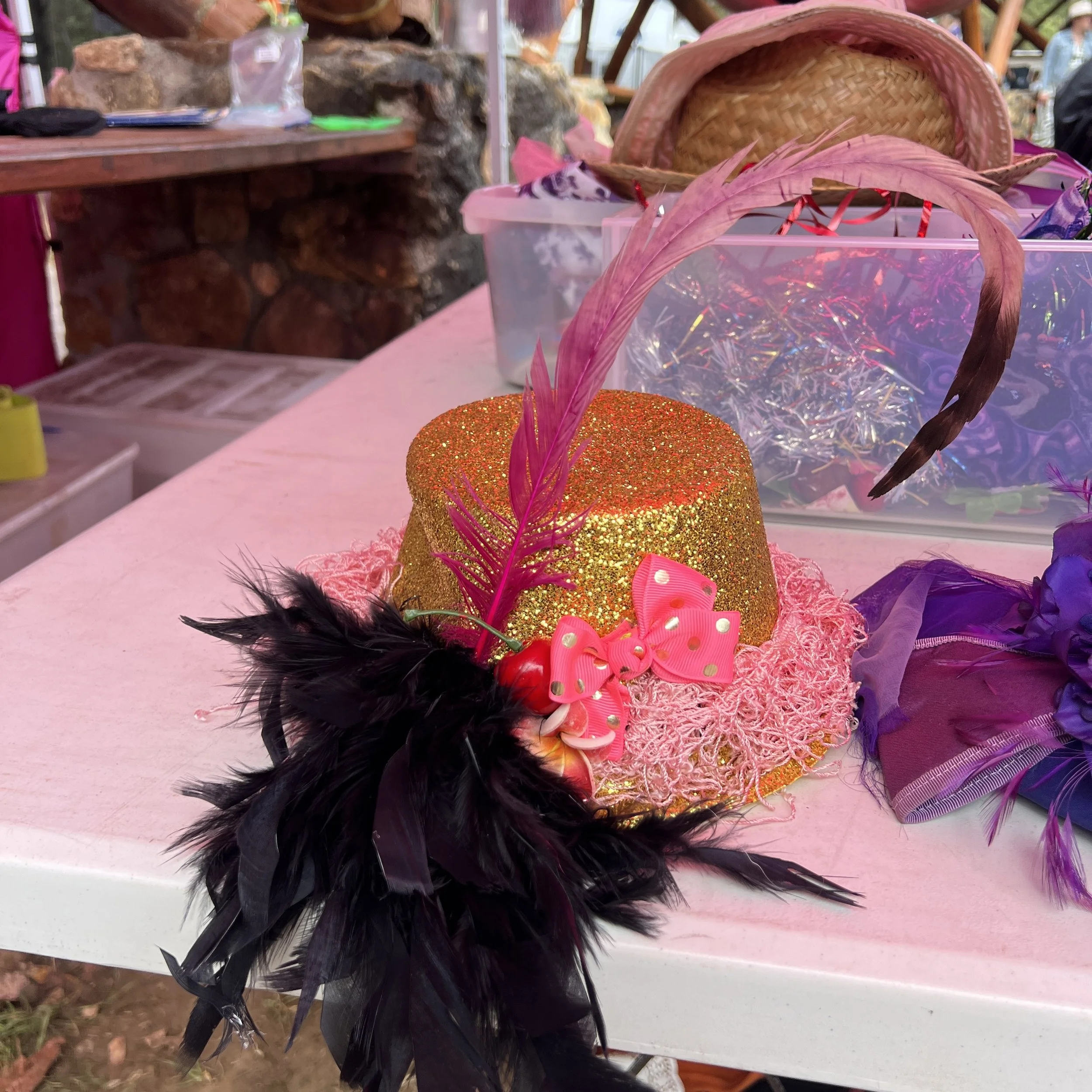 Celebration Hats Gertrude WellEase Nannup Music Festival 2026.  The use of old feathers really worked.
