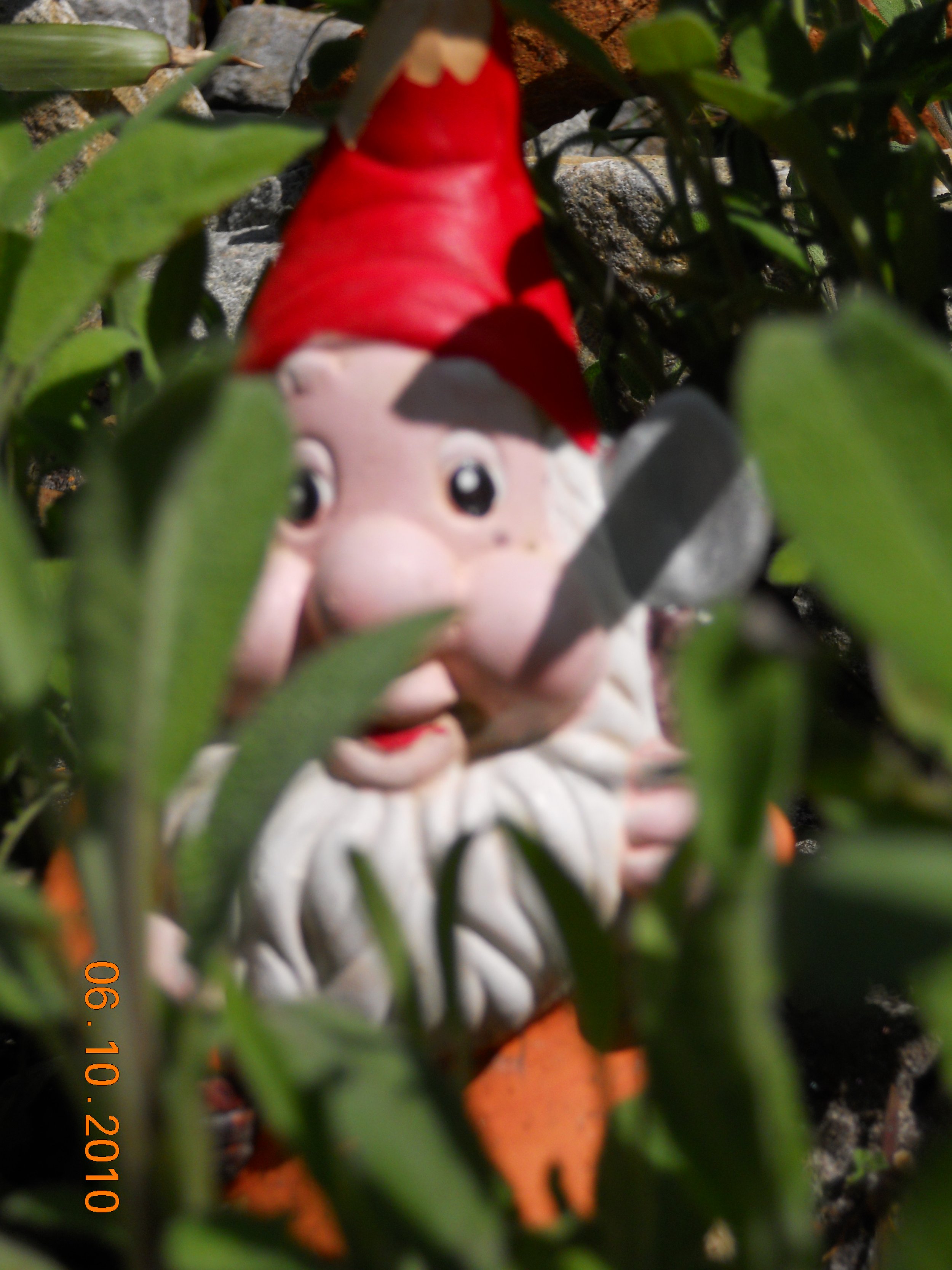 gnome.jpg