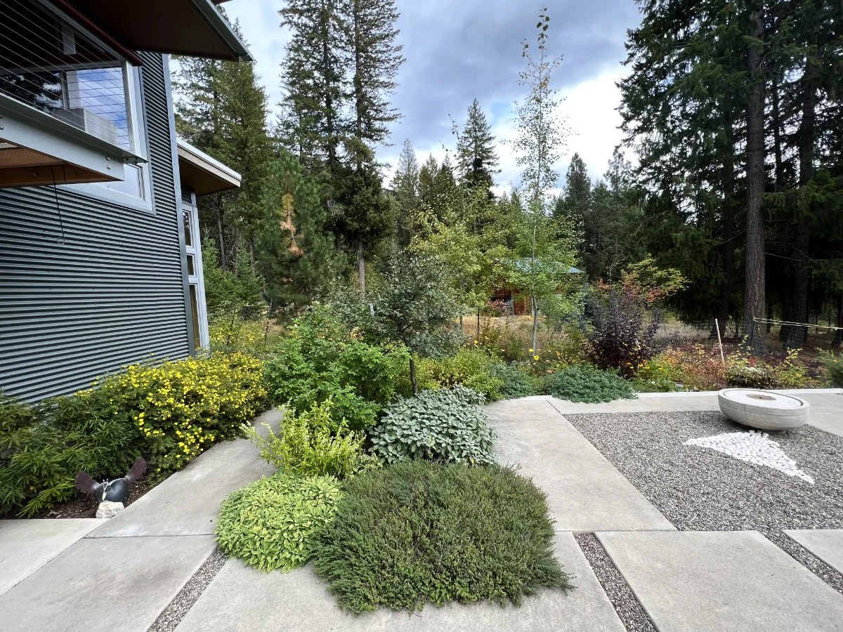Patio and Plantings