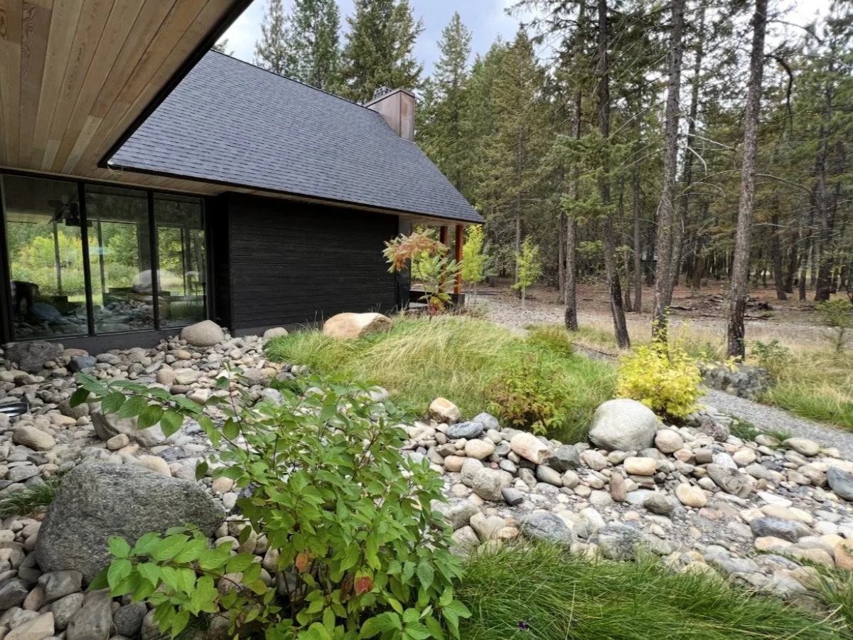 Plants with Streambed