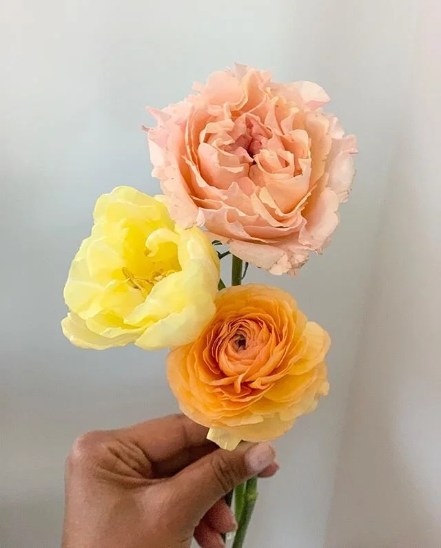 Three babes walk into a bar... 💛🍑🧡
And spring has sprung! 😄 Happy Saturday!! Hope you got to sleep in this morning before #daylightsavings begin tomorrow. 😒

Who else here thinks they should cancel daylight savings? 🧐🙋🏽&zwj;♀️ .
.
.
.
.
.
.
.
