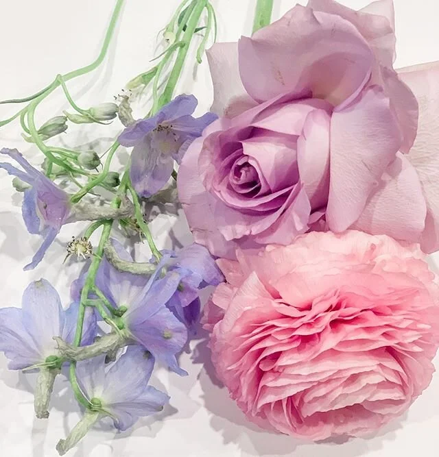 Swooning over here...💘 a color story🤍
.
. .
.
.
.
.
.
.
.
#zafloraldesigns#losangeles#flowerarrangements#floralarrangements#floraldesign#art#flowers#florist#flowersofinstagram#floral#palette#gardenstyle#flowerinspiration#losangeles#pastelpalettes#h