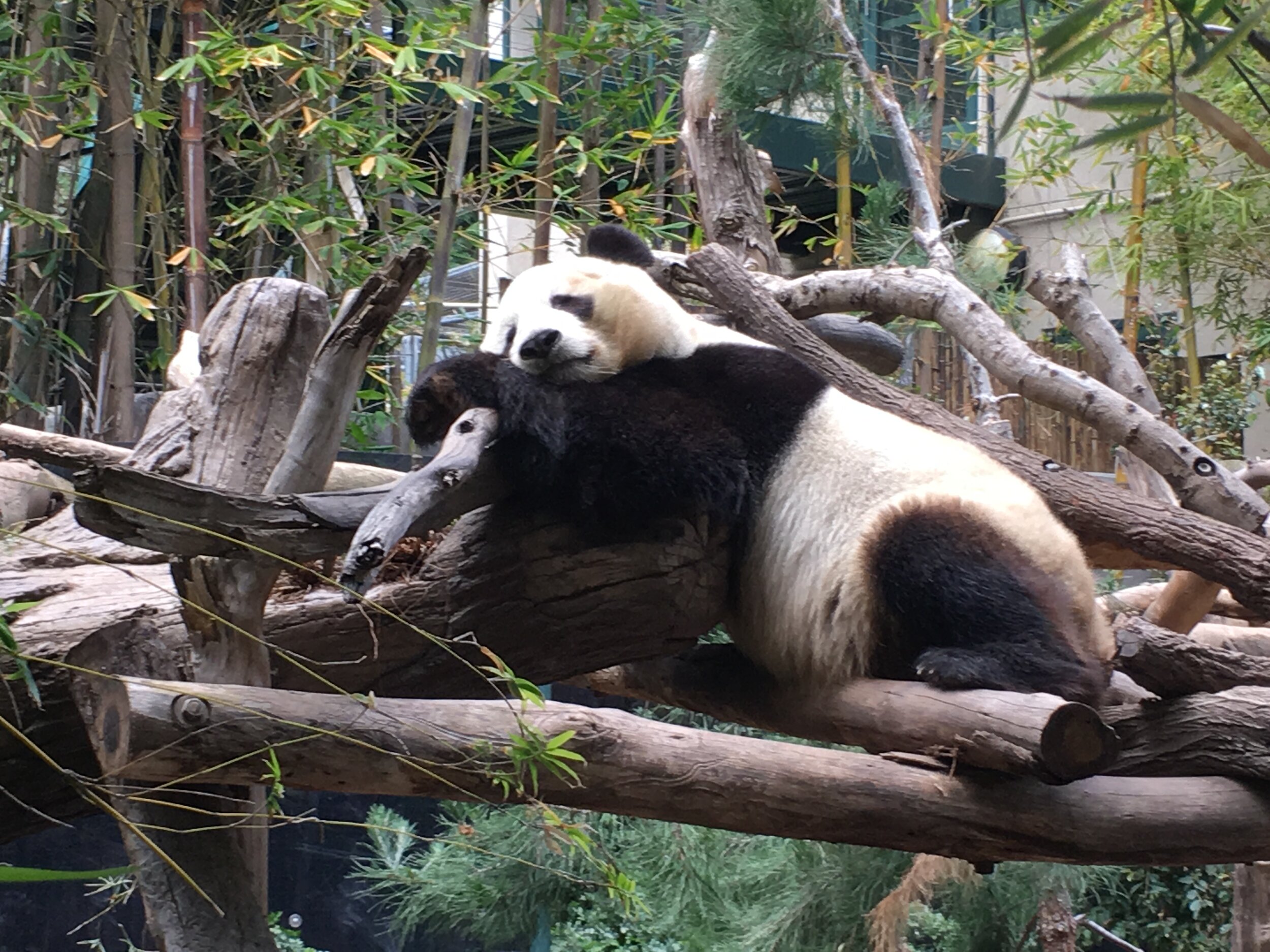 San Diego Zoo