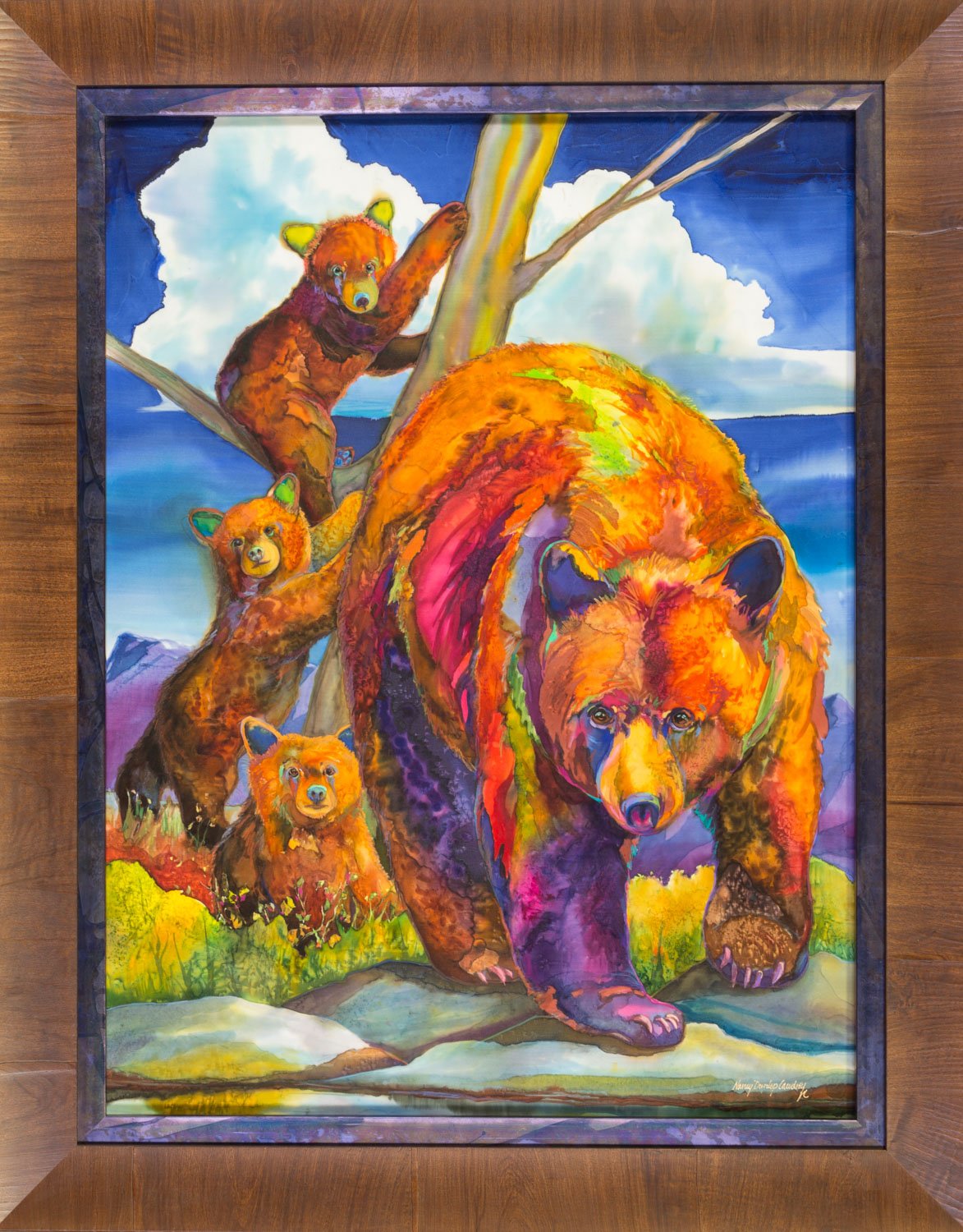 Ursus americanus
