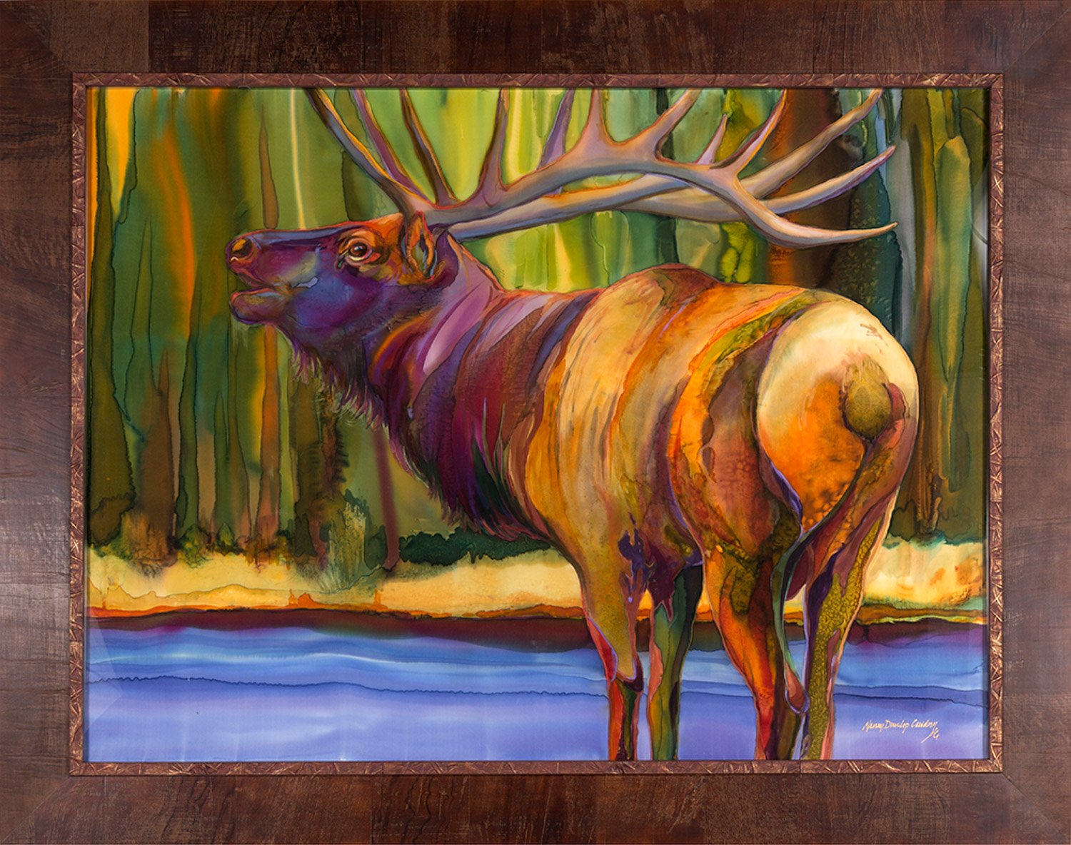Cervus canadensis
