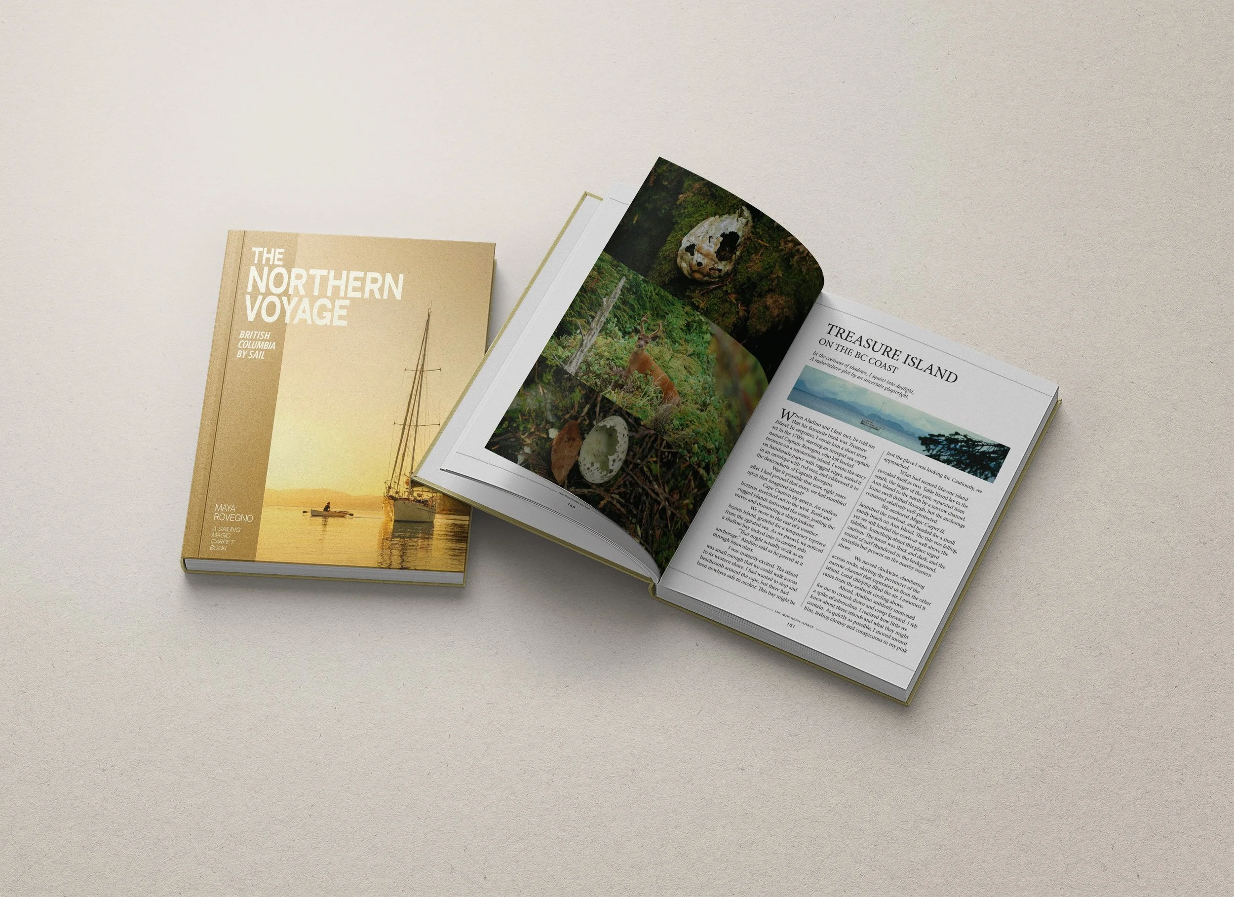 The Floating Stories Lab's Citizen Science Work Endorsed by UN Ocean ...