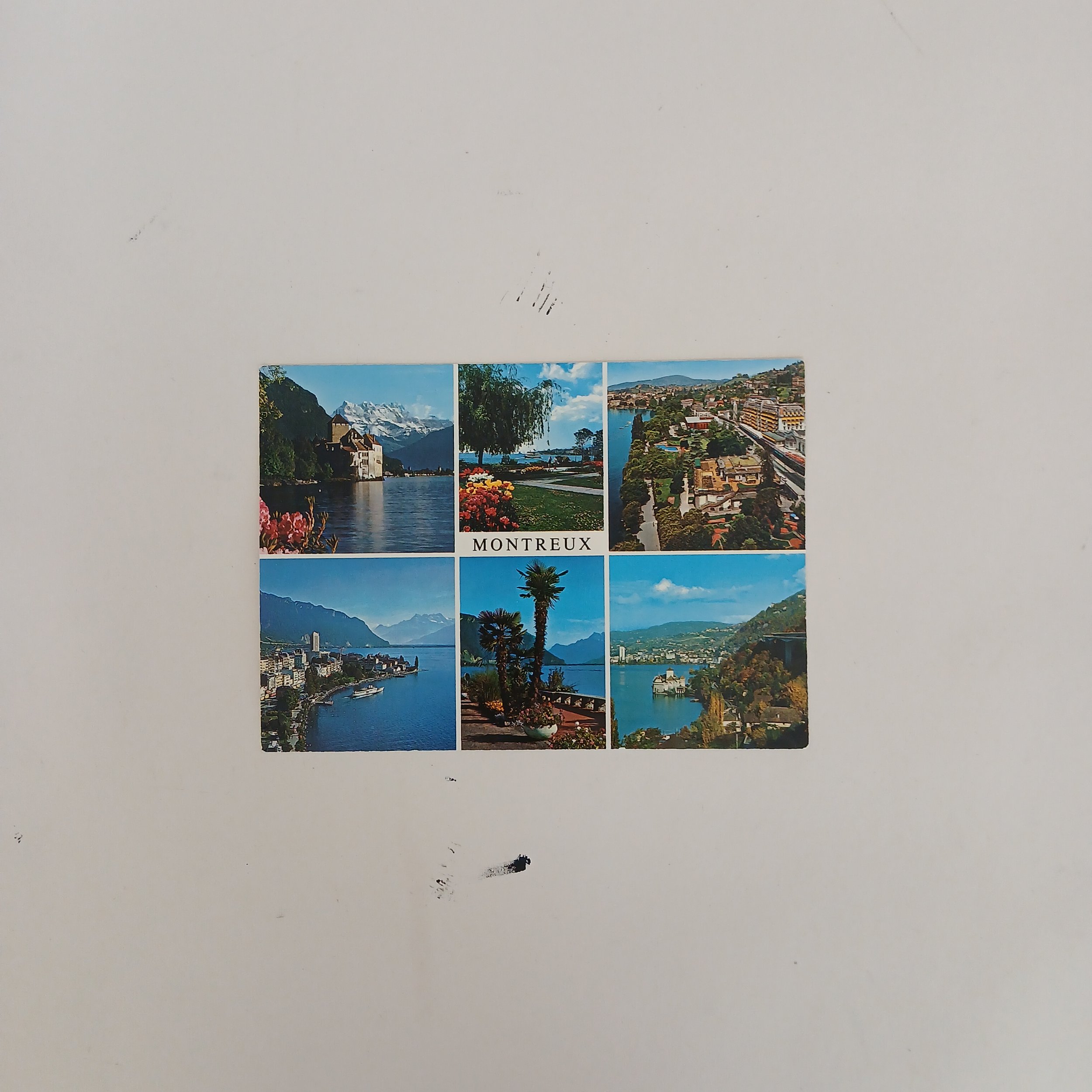 1000103530.jpg