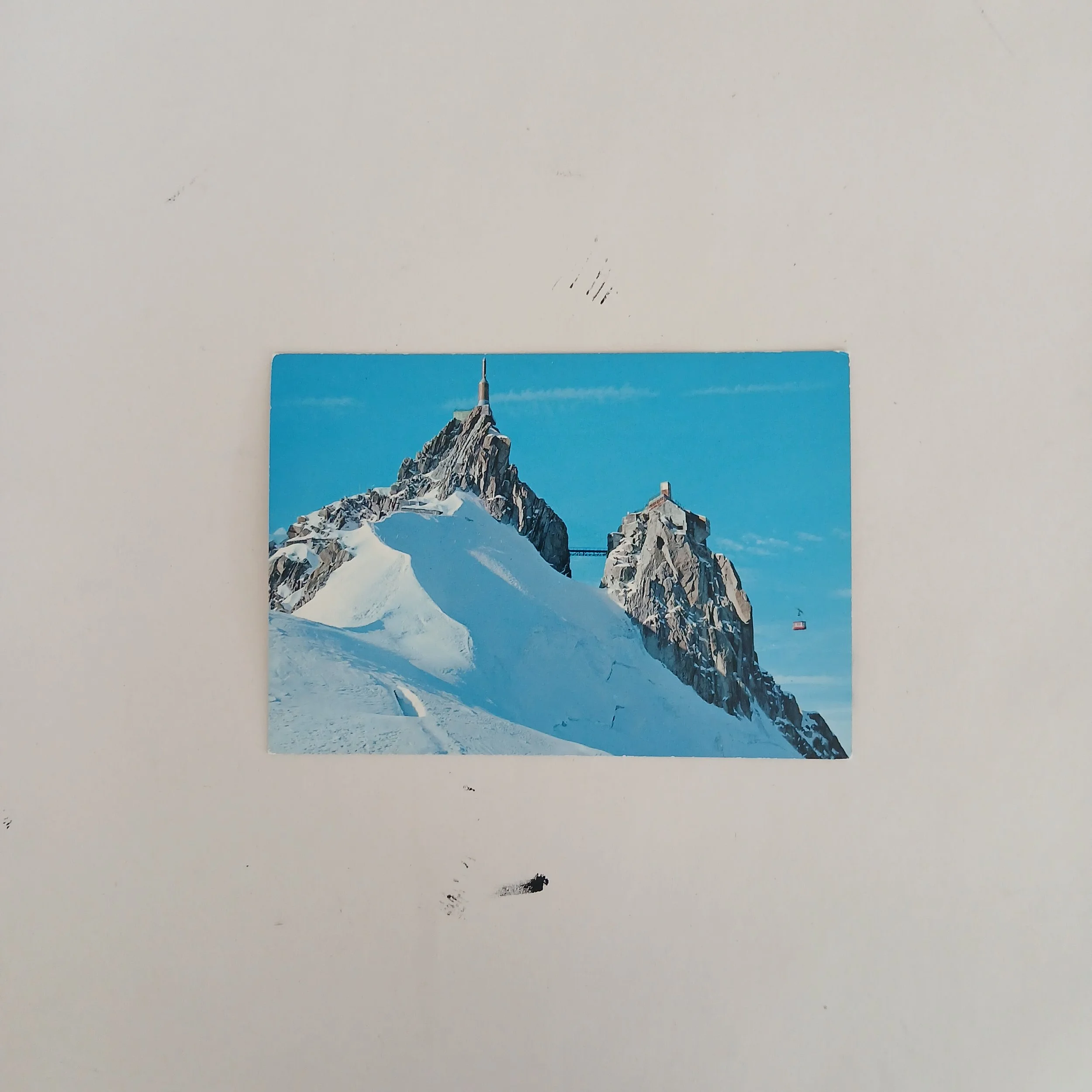 1000103527.jpg