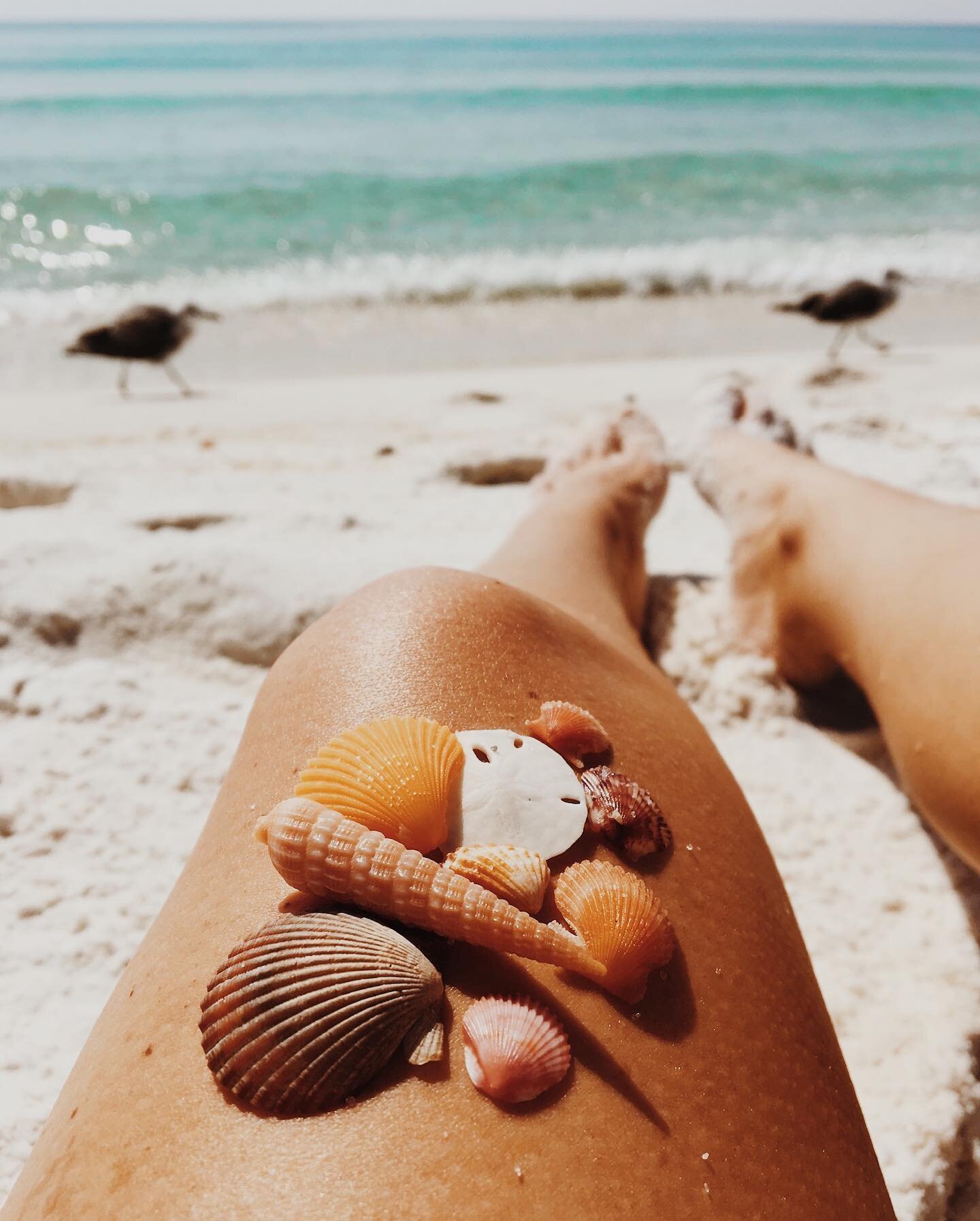 Destin gems 🐚✨ Treasure looks different for everyone &mdash; for us, it&rsquo;s the freedom to live, work and play from anywhere, and the gems we find along the way 🌊 #grateful