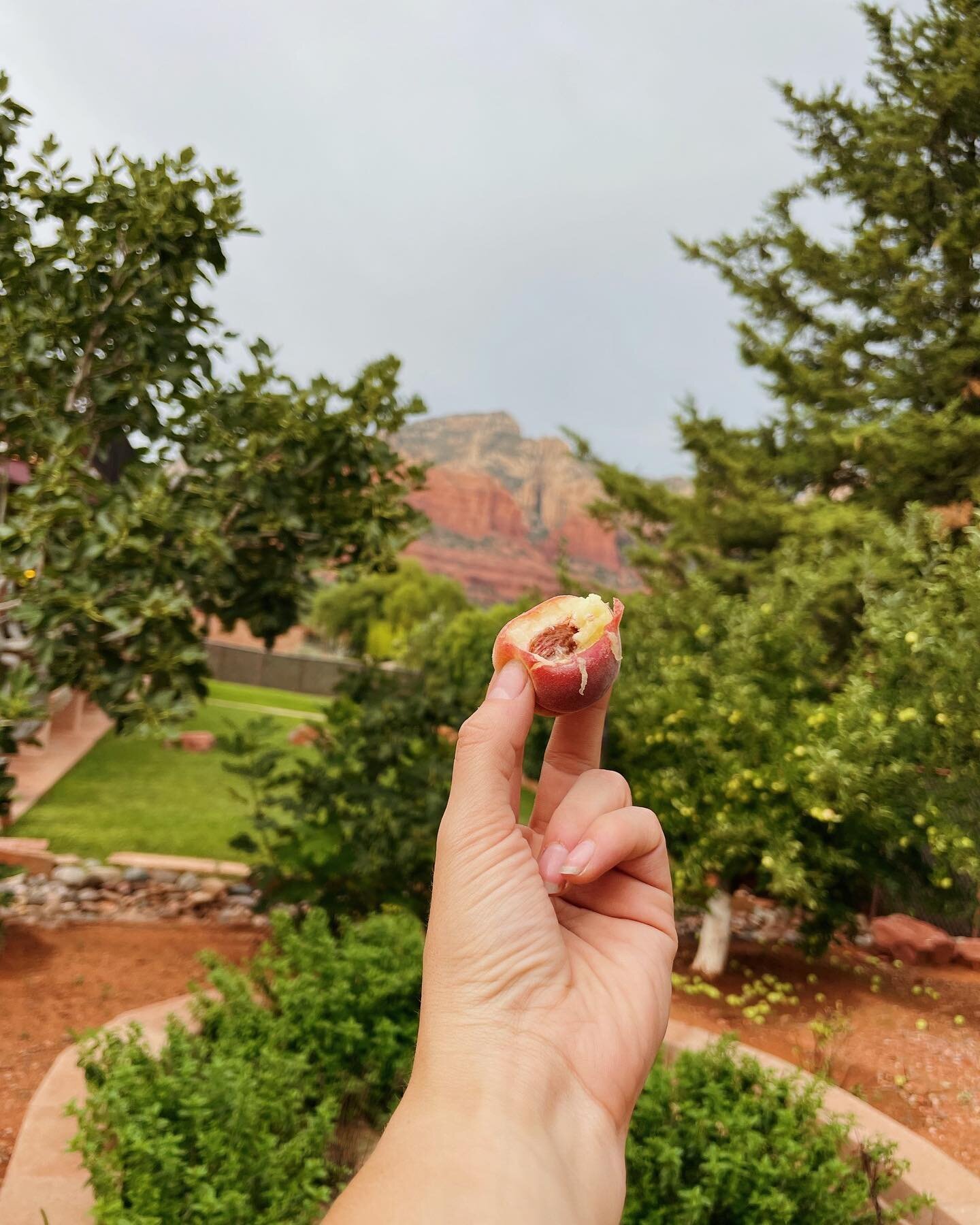 Living off the land 🏜🍑 There is something special about a place that retains its raw, purest form of beauty&hellip; Sedona, Arizona &mdash; rich in discovery, adventure, and exploration. Untouched by the modern world, you can feel the natural energ