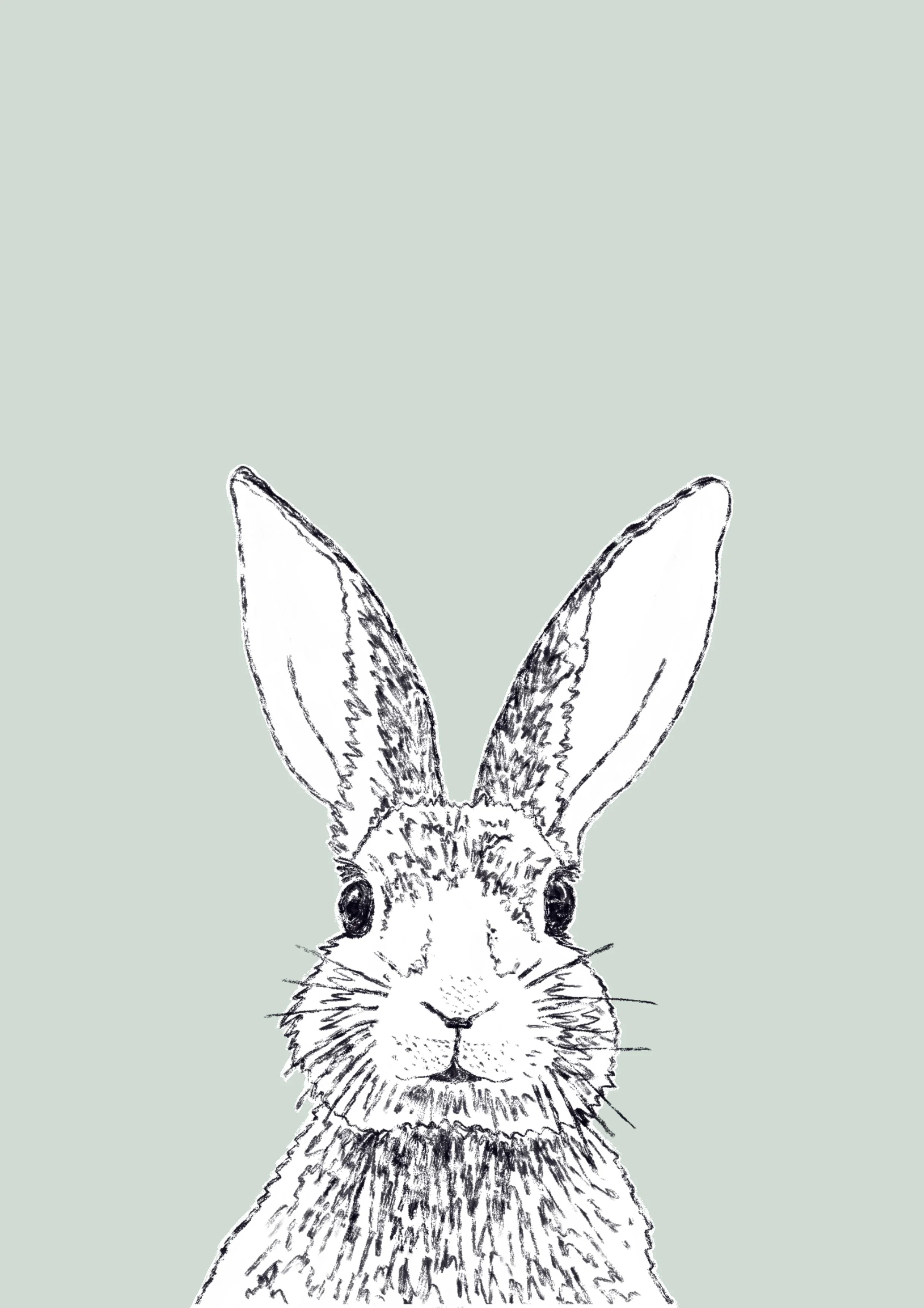 Rabbit A4 Print - Colour