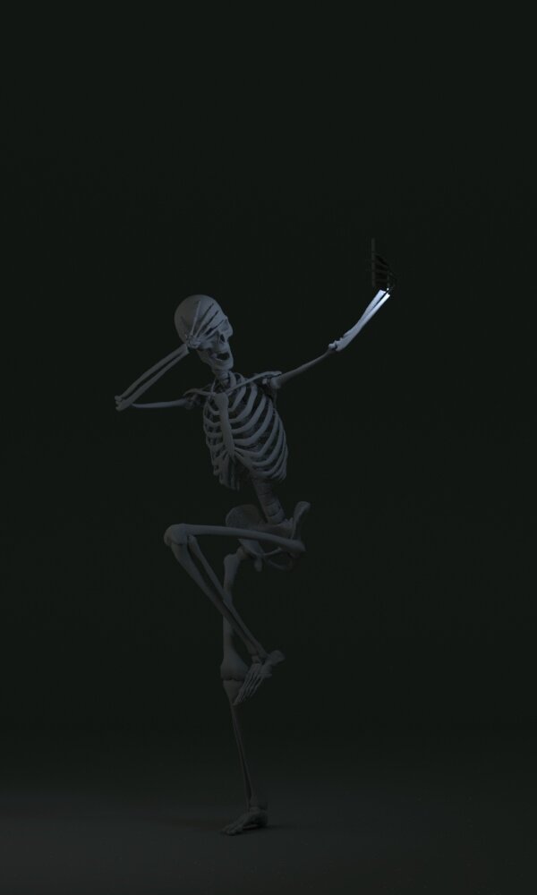 SkeletonPose_3.jpeg