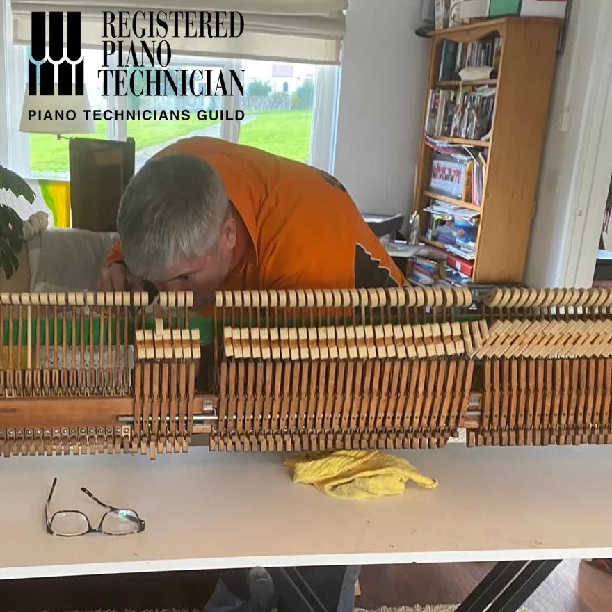 Chris Hacking removing a piano hammer from an action to service and repair it as an accredited piano technician with the Piano Technicians Guild