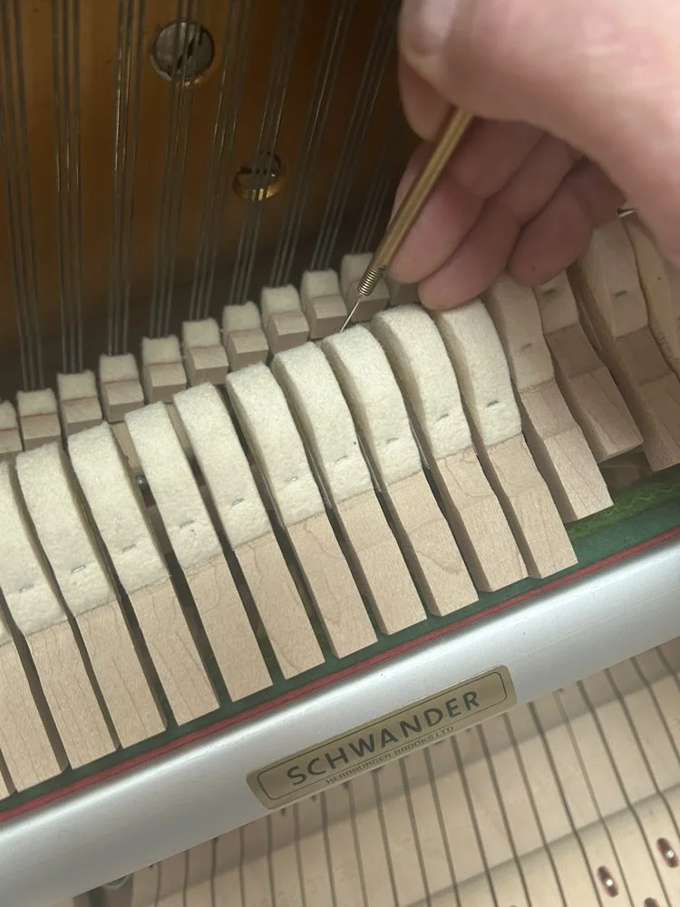 Image of Chris Hacking using a single needle voicing tool to needle the hammers of a Schwander action to soften the tone of the instument